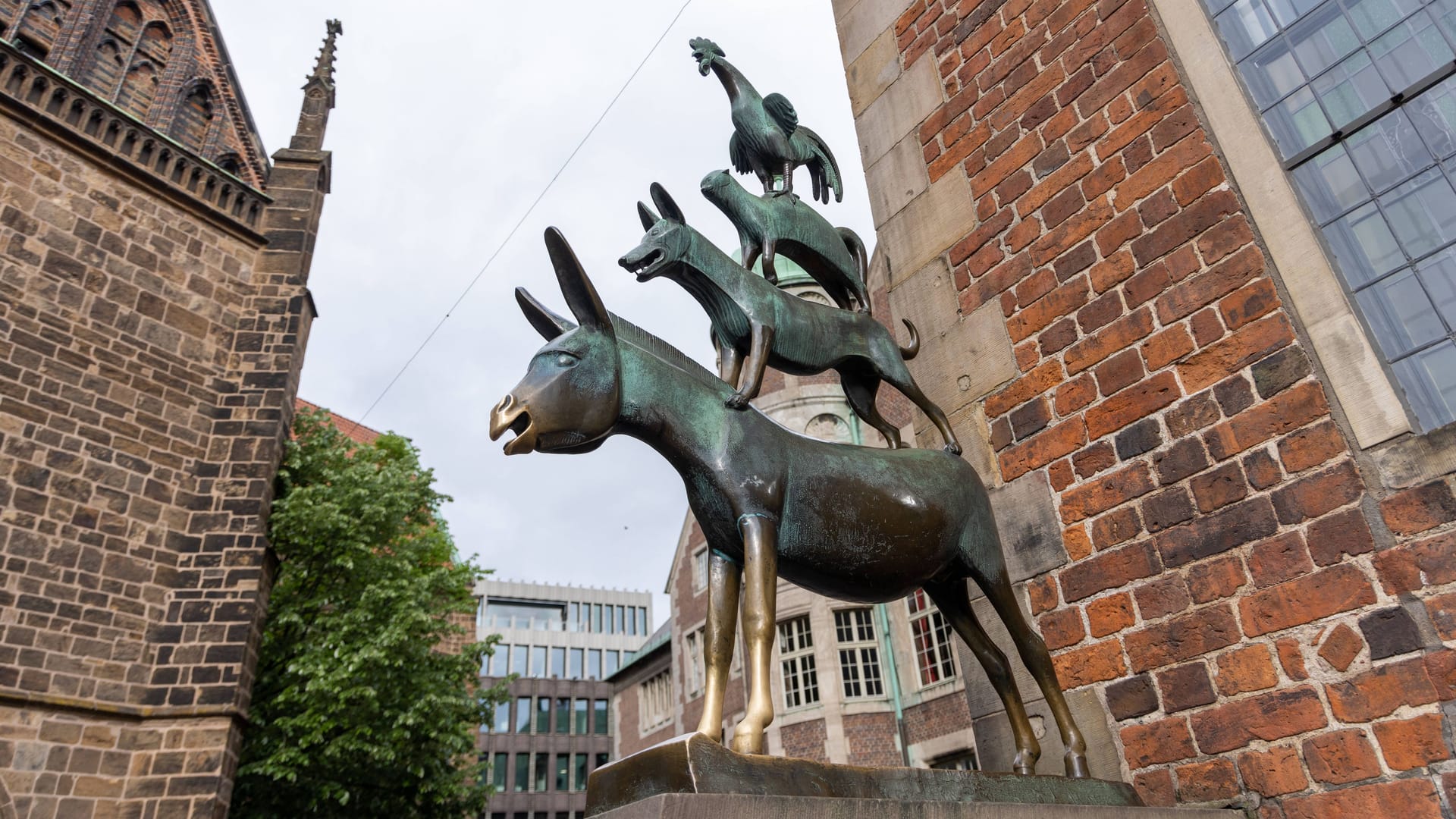 Viele Touristen stellen sich die Bremer Stadtmusikanten viel größer vor.