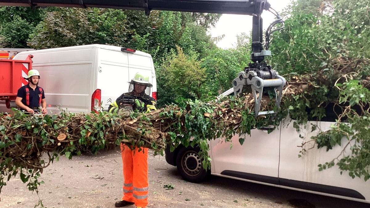 Die Bergung war schwierig, die Feuerwehr musste mit schwerem Gerät anrücken und den Baum zersägen.