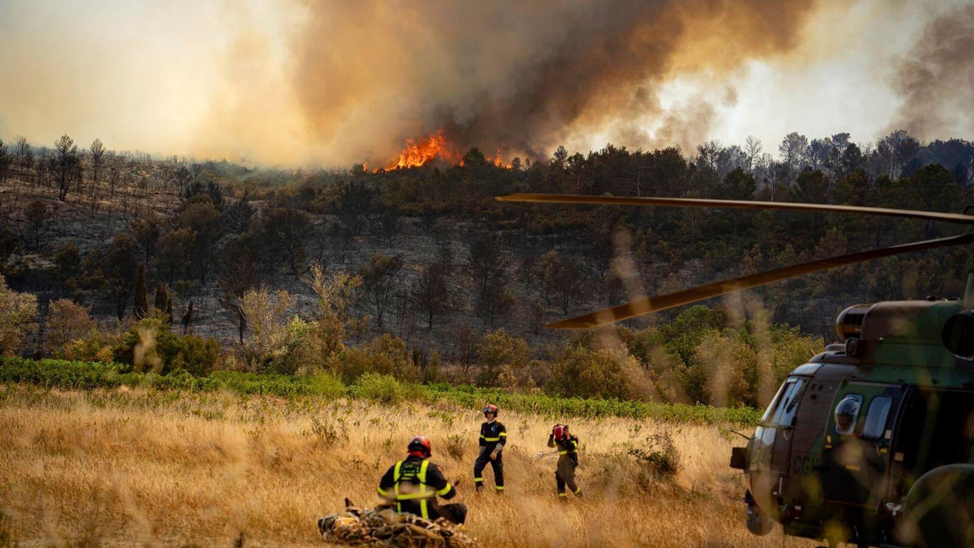 Waldbrand in Südfrankreich