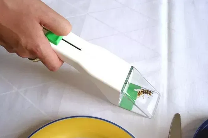 Insektenfänger von Snapy: Erspart die klassische Spinnenjagd mit einem Glas hat.