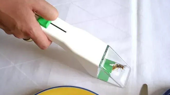 Insektenfänger von Snapy: Erspart die klassische Spinnenjagd mit einem Glas hat.