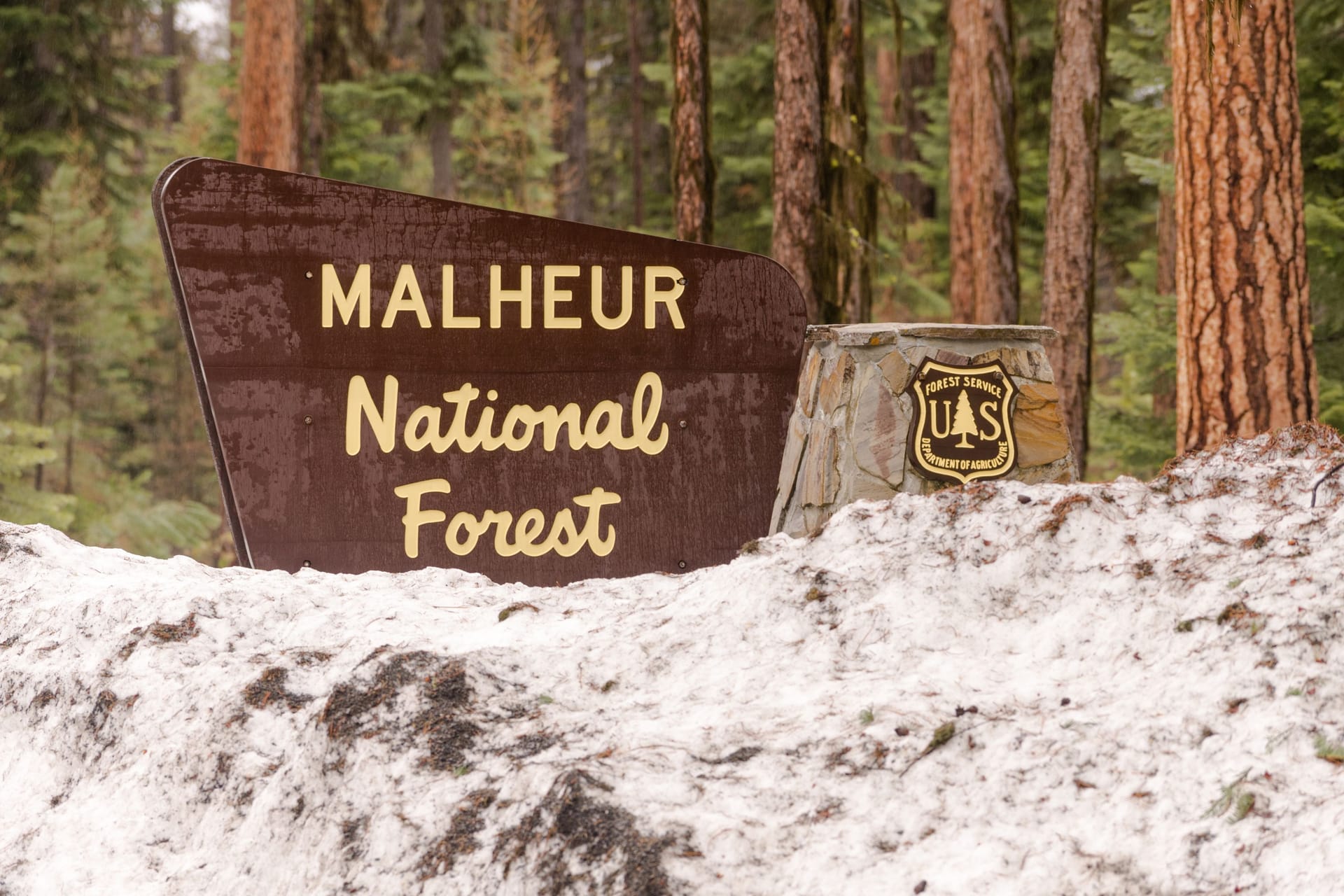 Makheaur National Forest Entrance Sign Oregon Wilderness Makheaur National Forest Entrance Sign Oregon Wilderness