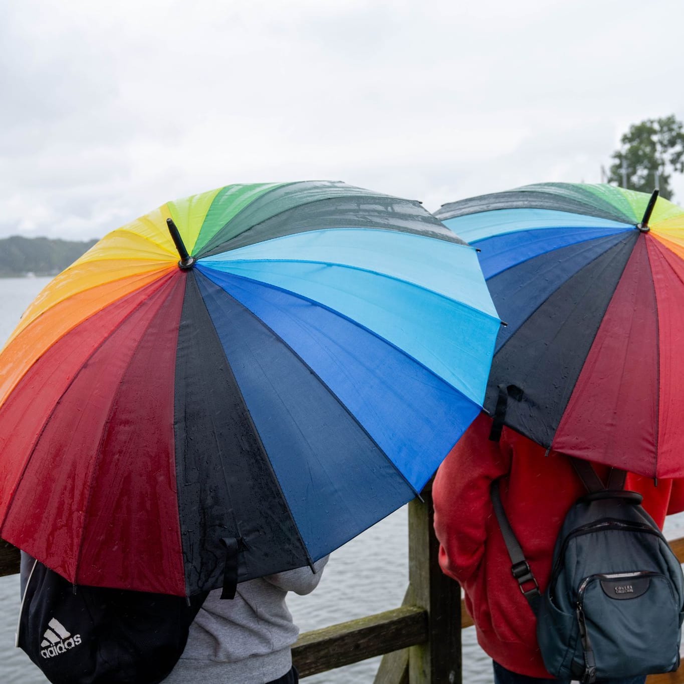 Wetter in Wolgast