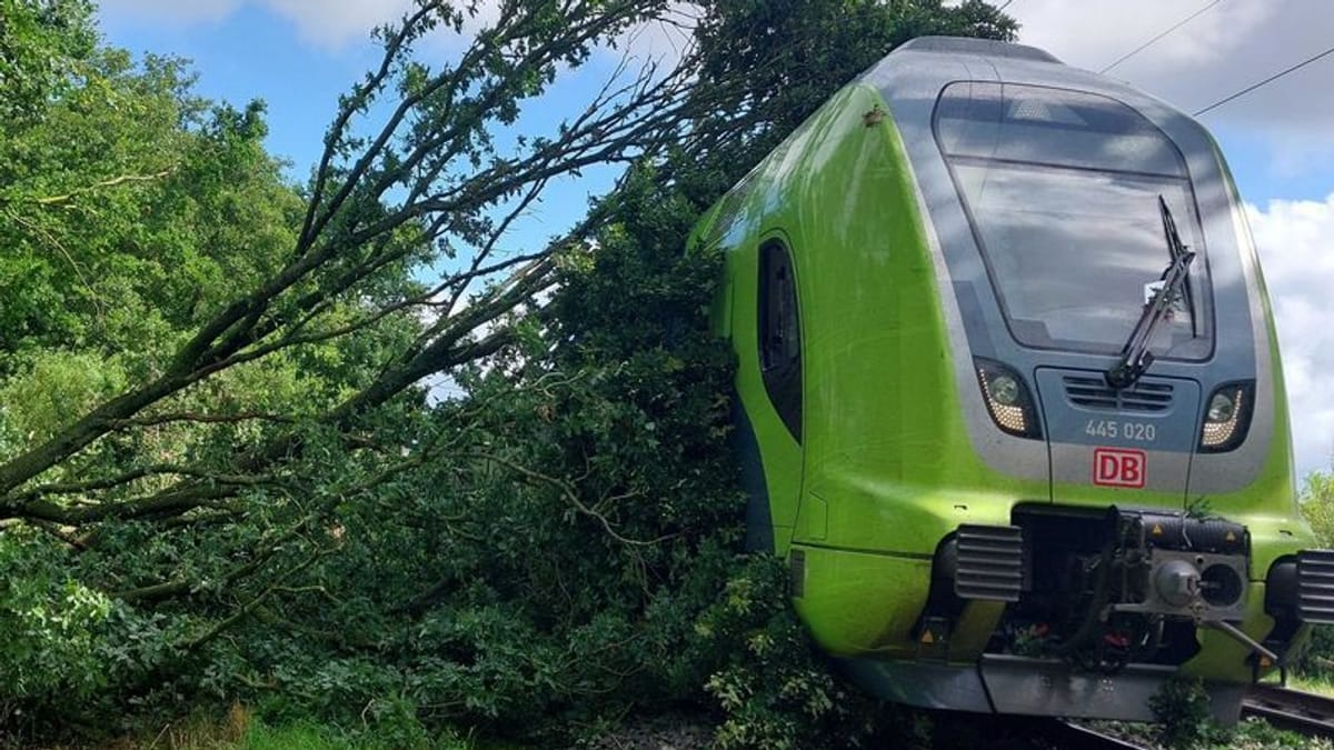 Zaradi podrtega drevesa na progi oviran železniški promet pri Hamburgu