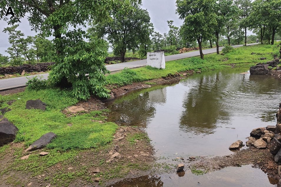 In diesem Tümpel in Maharashtra wurde der Krebs entdeckt.