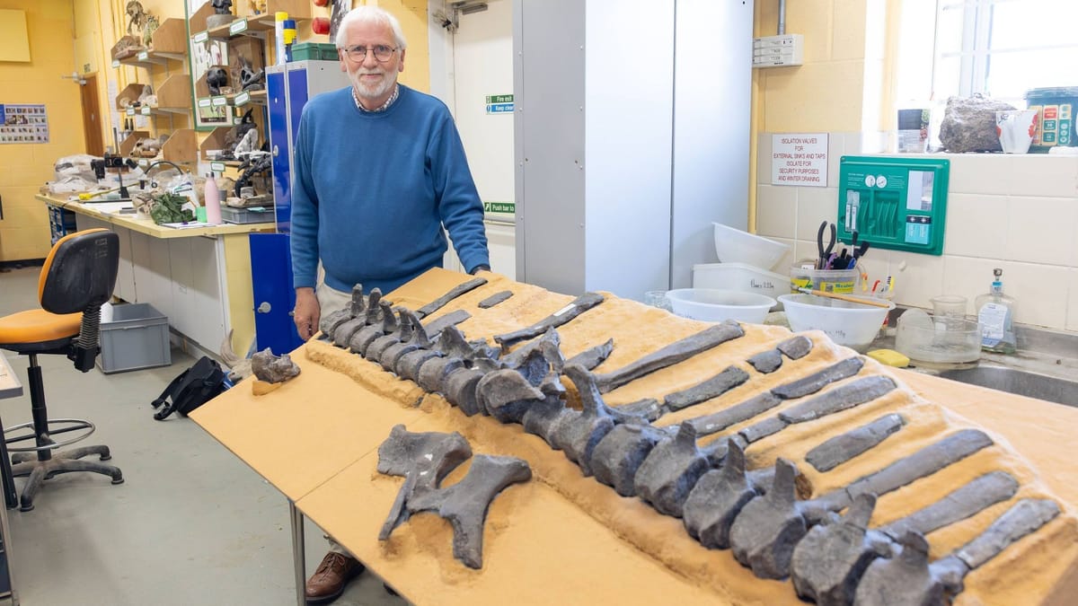 Poezdda konduktor bilan onlayn jinsiy aloqa