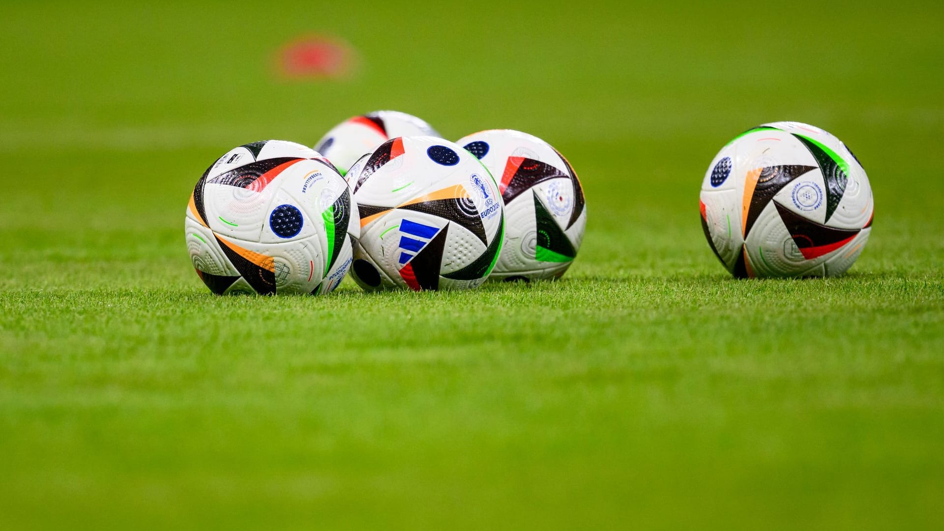 Vitesse Arnheim verliert Profilizenz Vitesse Arnheim verliert Profilizenz