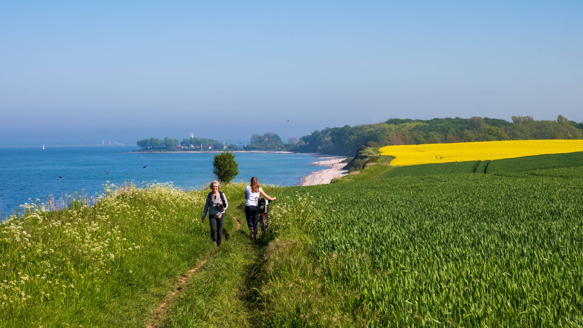 imago images 158742869