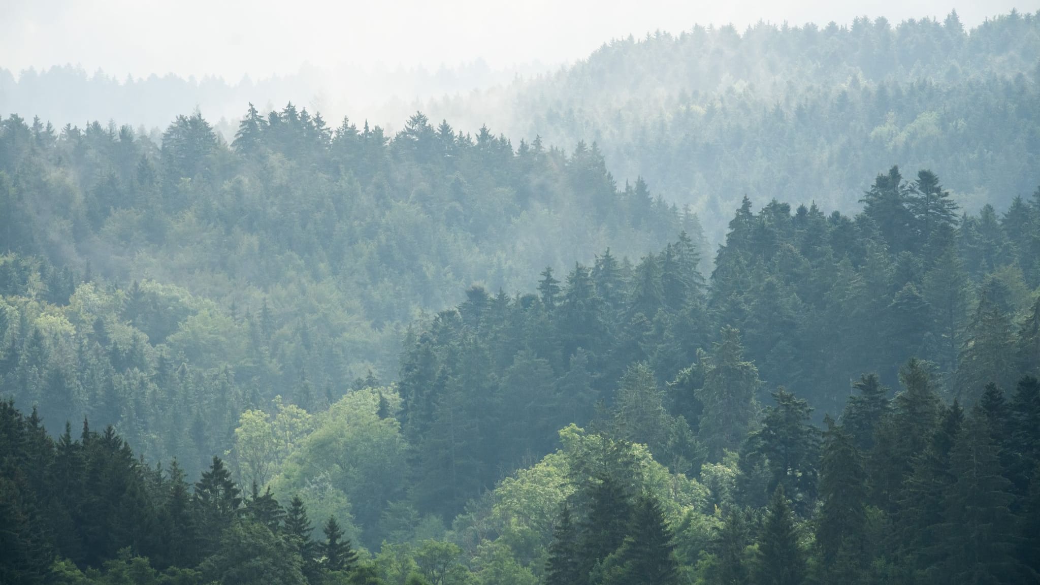Wetter in Baden-Württemberg