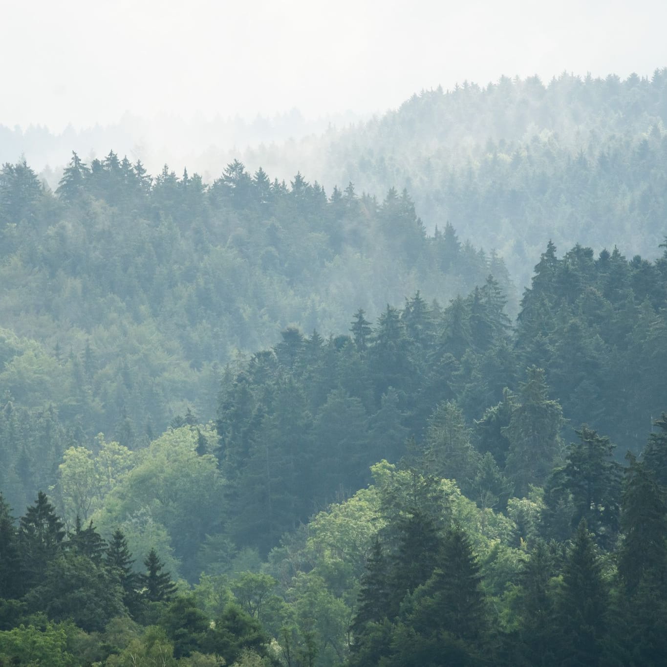 Wetter in Baden-Württemberg