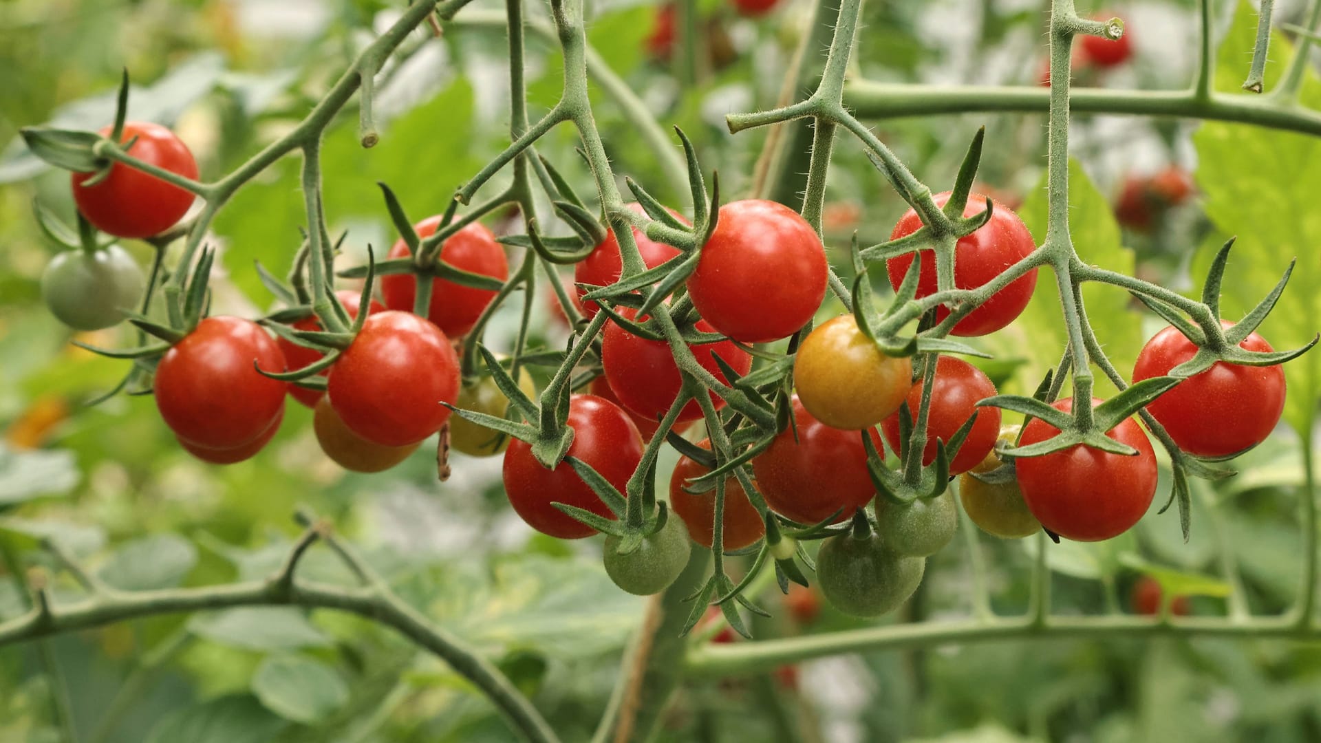 imago images 0831458408