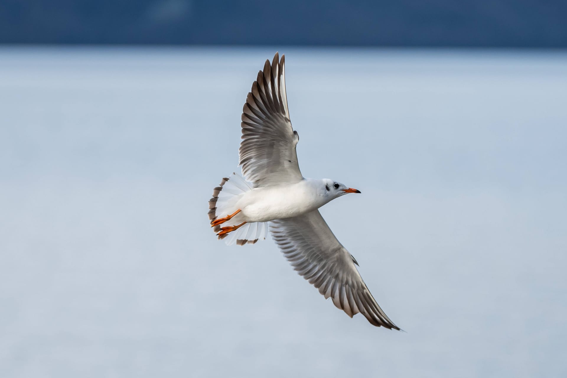 imago images 0792749490