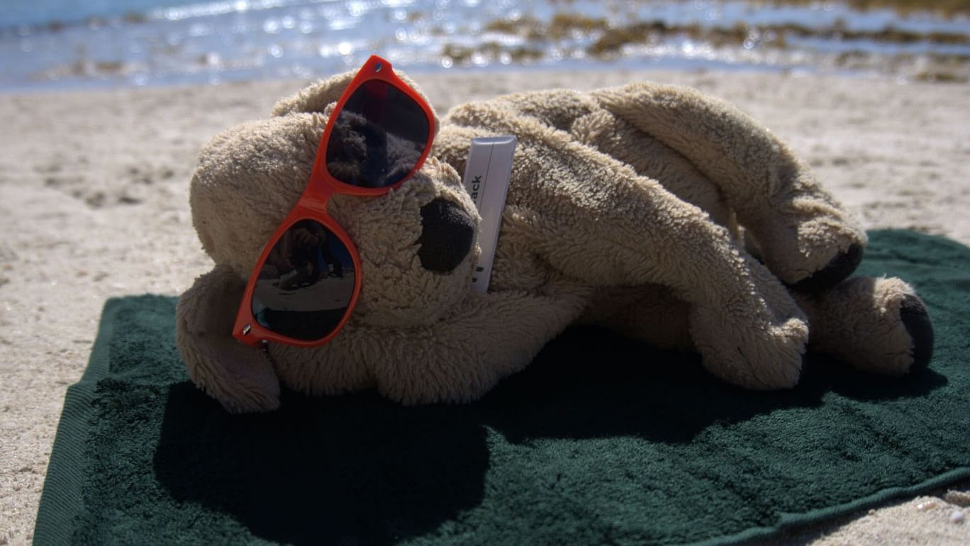 Plüschhund «Jack» in Australien Plüschhund «Jack» in Australien