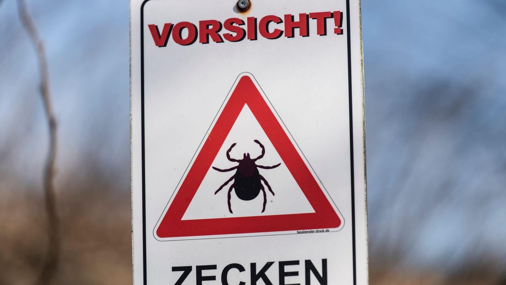 Zeckenzeit