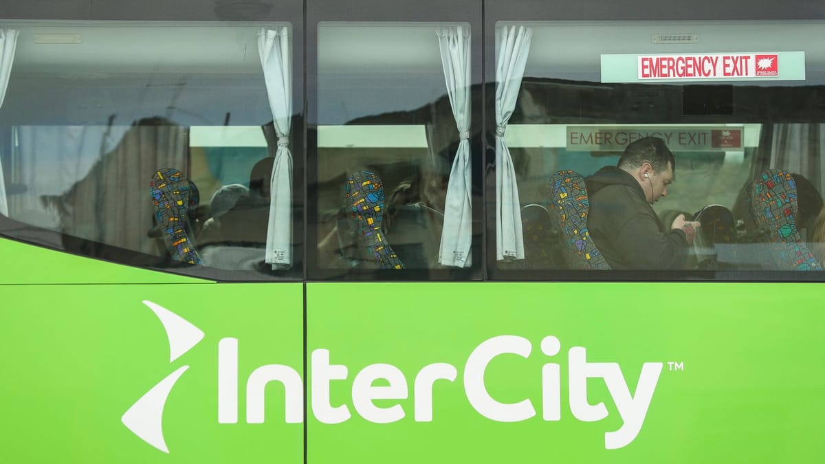 Neuseeland: Busfahrer rettet Zweijährige aus Koffer im Gepäckraum