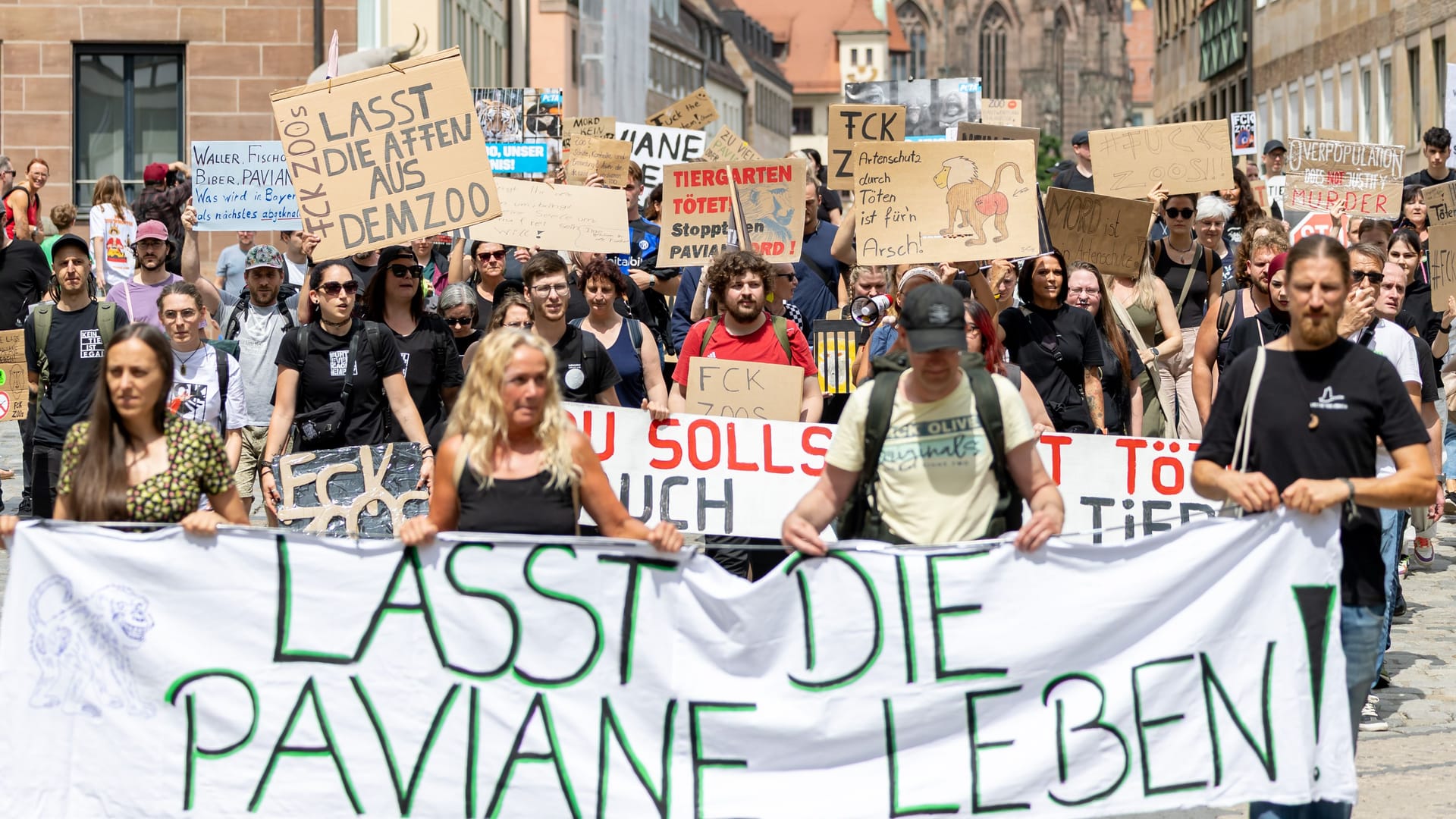Eine Demonstration in Nürnberg Ende Juli: Tierschützer protestierten gegen die Tötungen von Pavianen im Tiergarten. Eine Demonstration in Nürnberg Ende Juli: Tierschützer protestierten gegen die Tötungen von Pavianen im Tiergarten.