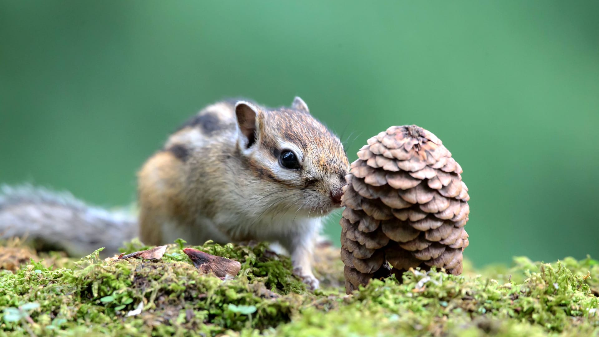 imago images 0830675687