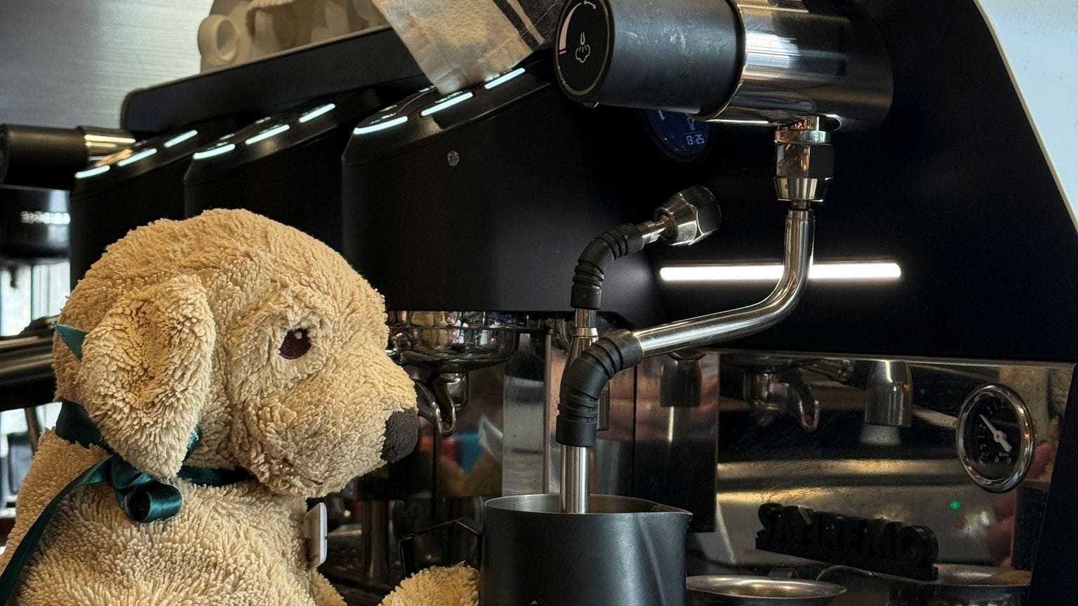 Plüschhund «Jack» in Australien Plüschhund «Jack» in Australien