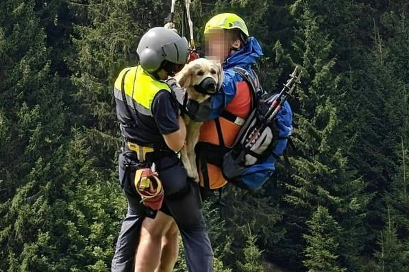 Die schwer verletzte Hündin eines deutschen Urlauberpaars: Per Hubschrauber wird das Tier geborgen.