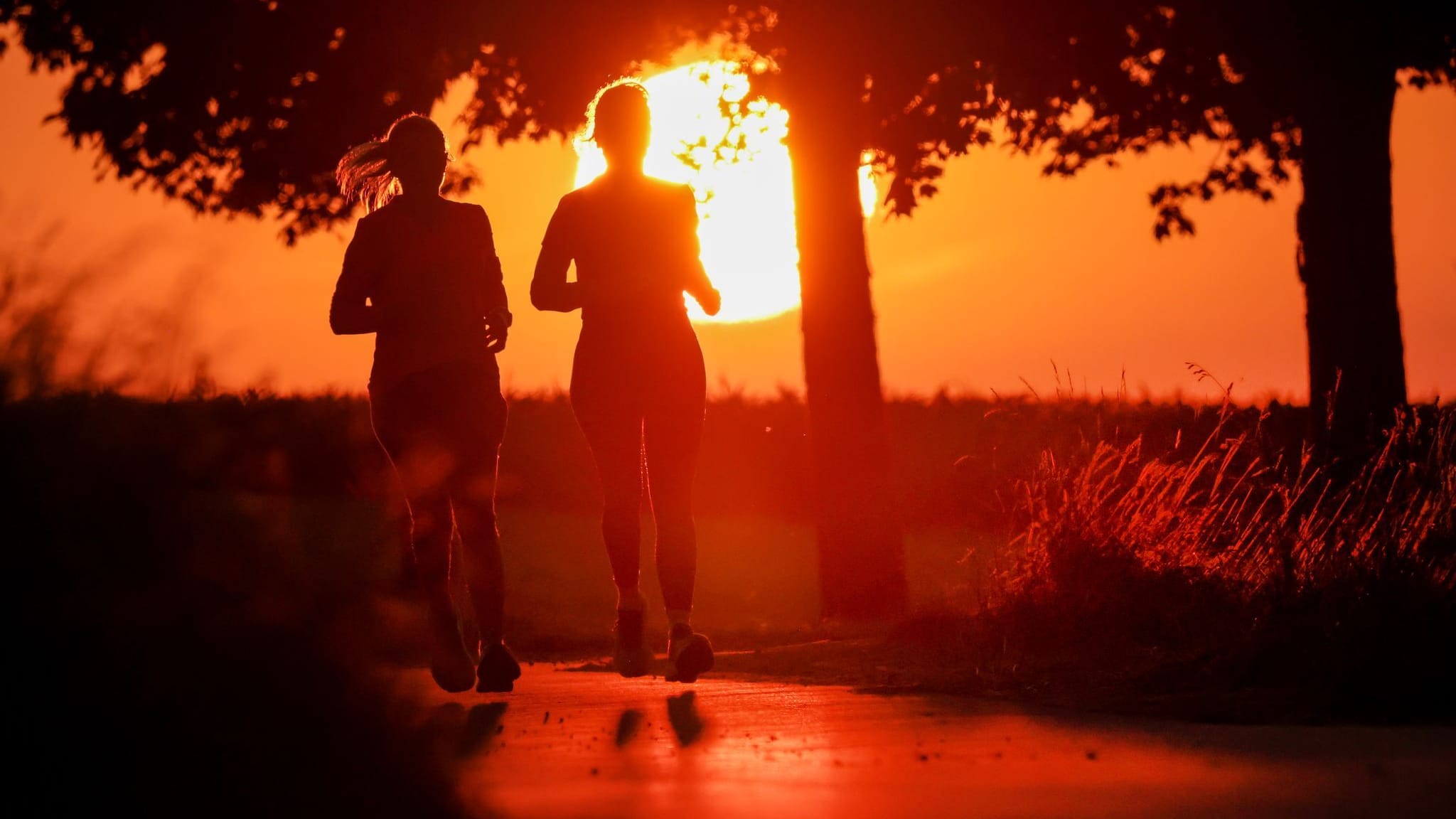 Sommer kehrt zurück