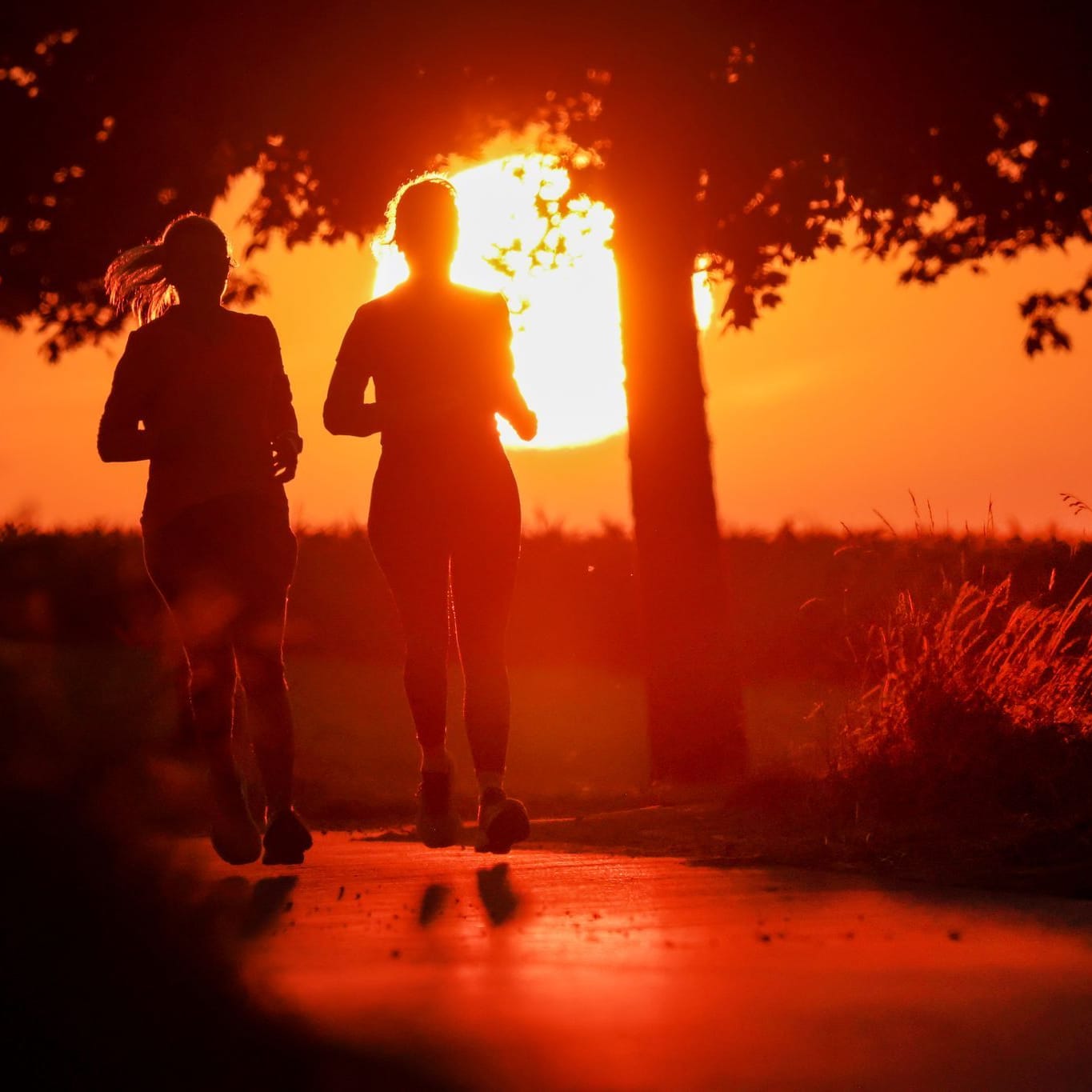 Sommer kehrt zurück