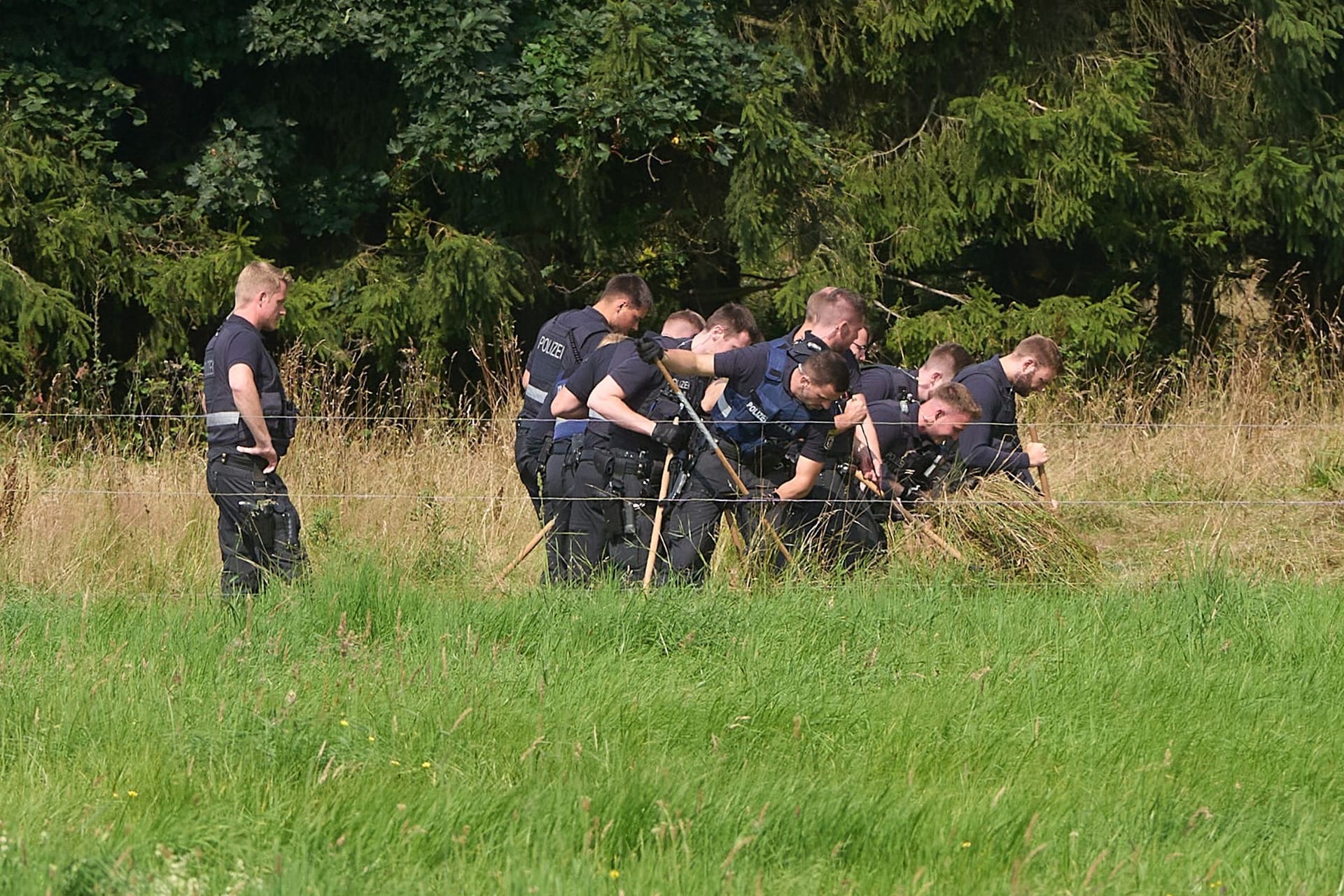 Leiche im Westerwald gefunden