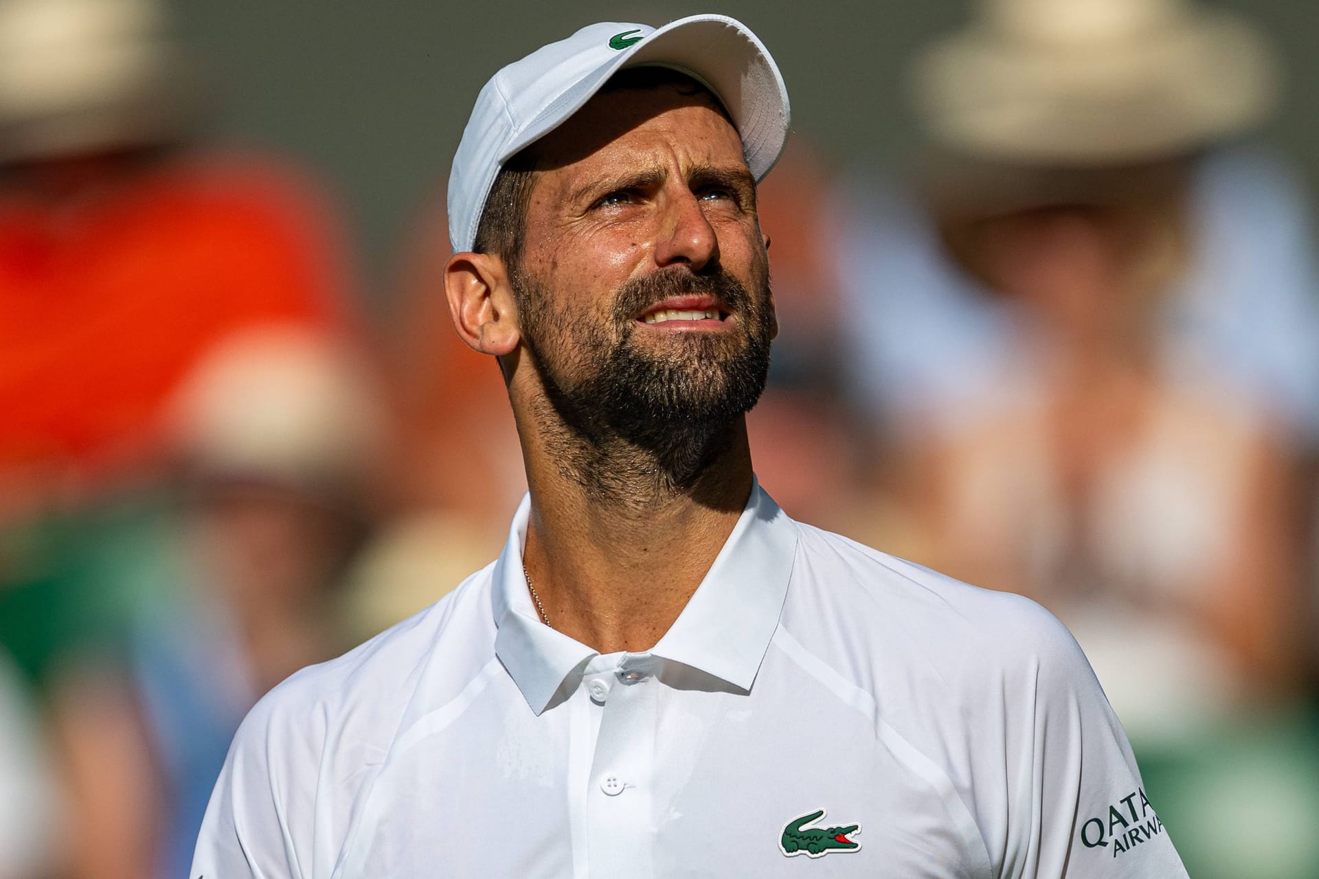 Wird von rechten Medien seiner Heimat kritisch gesehen: Tennis-Star Novak Djokovic sieht sich Kritik in Serbien ausgesetzt.