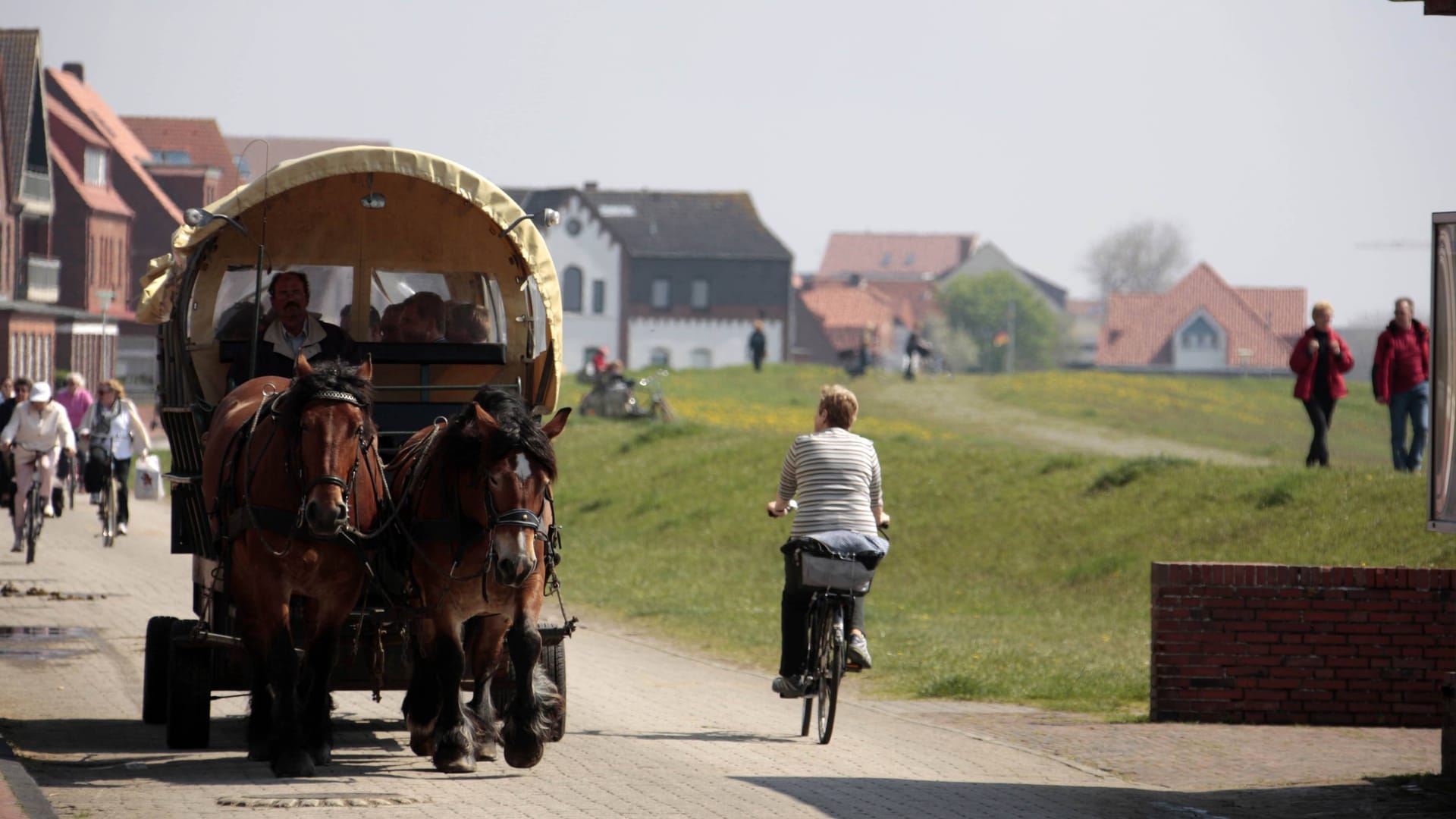 Pferdekutsche auf der Nordseeinsel Juist (Archivfoto): Noch ist das Eiland autofrei – ändert sich das bald? Pferdekutsche auf der Nordseeinsel Juist (Archivfoto): Noch ist das Eiland autofrei – ändert sich das bald?