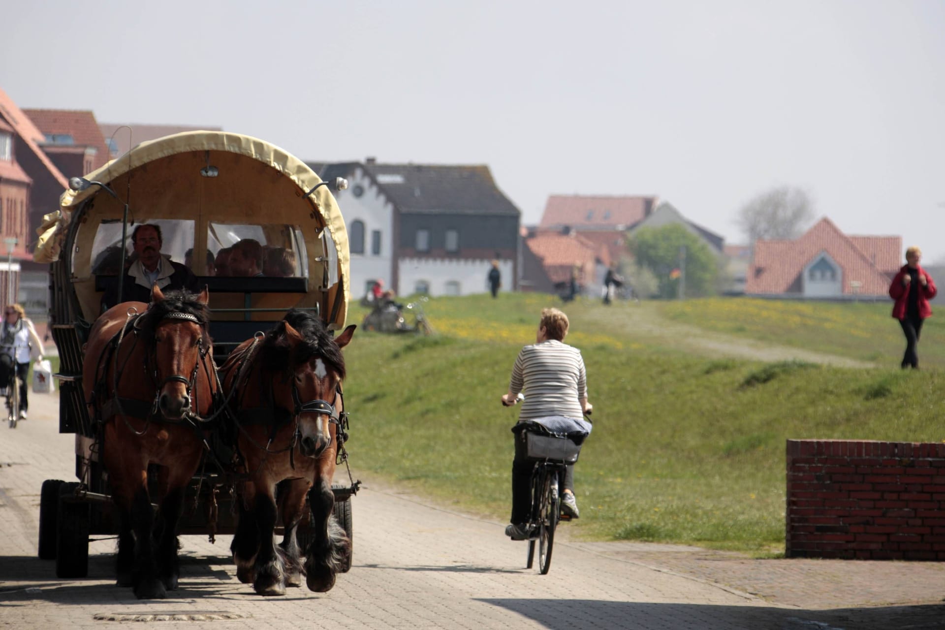 Pferdekutsche auf der Nordseeinsel Juist (Archivfoto): Noch ist das Eiland autofrei – ändert sich das bald?