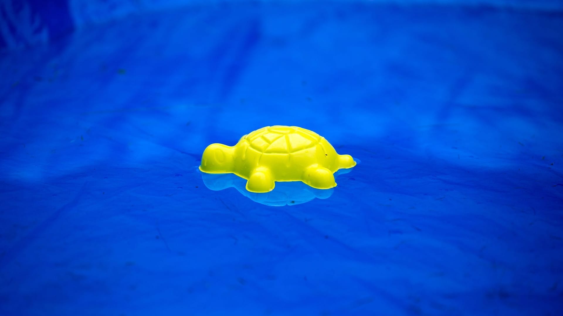 Swimmingpool Swimmingpool