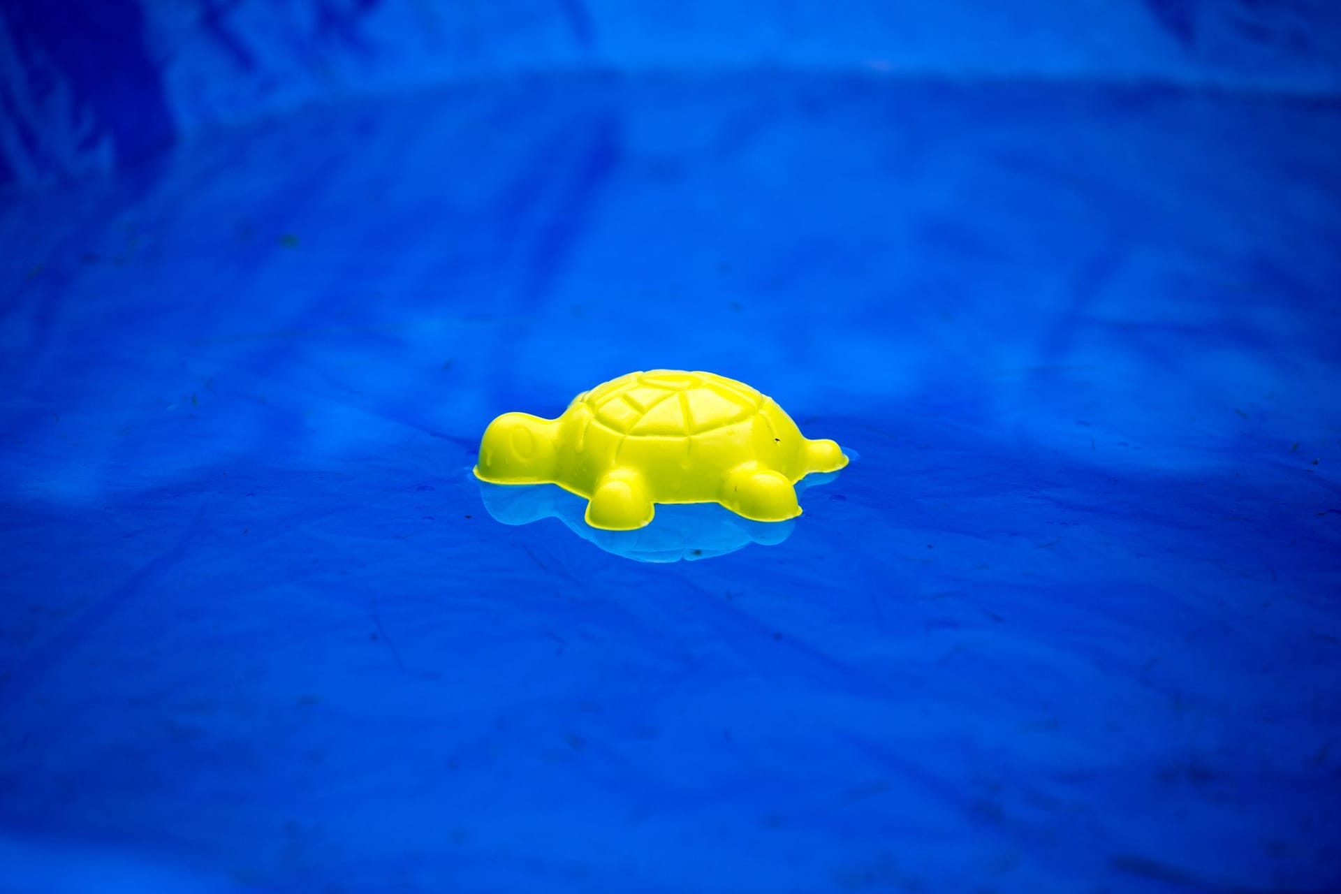 Swimmingpool