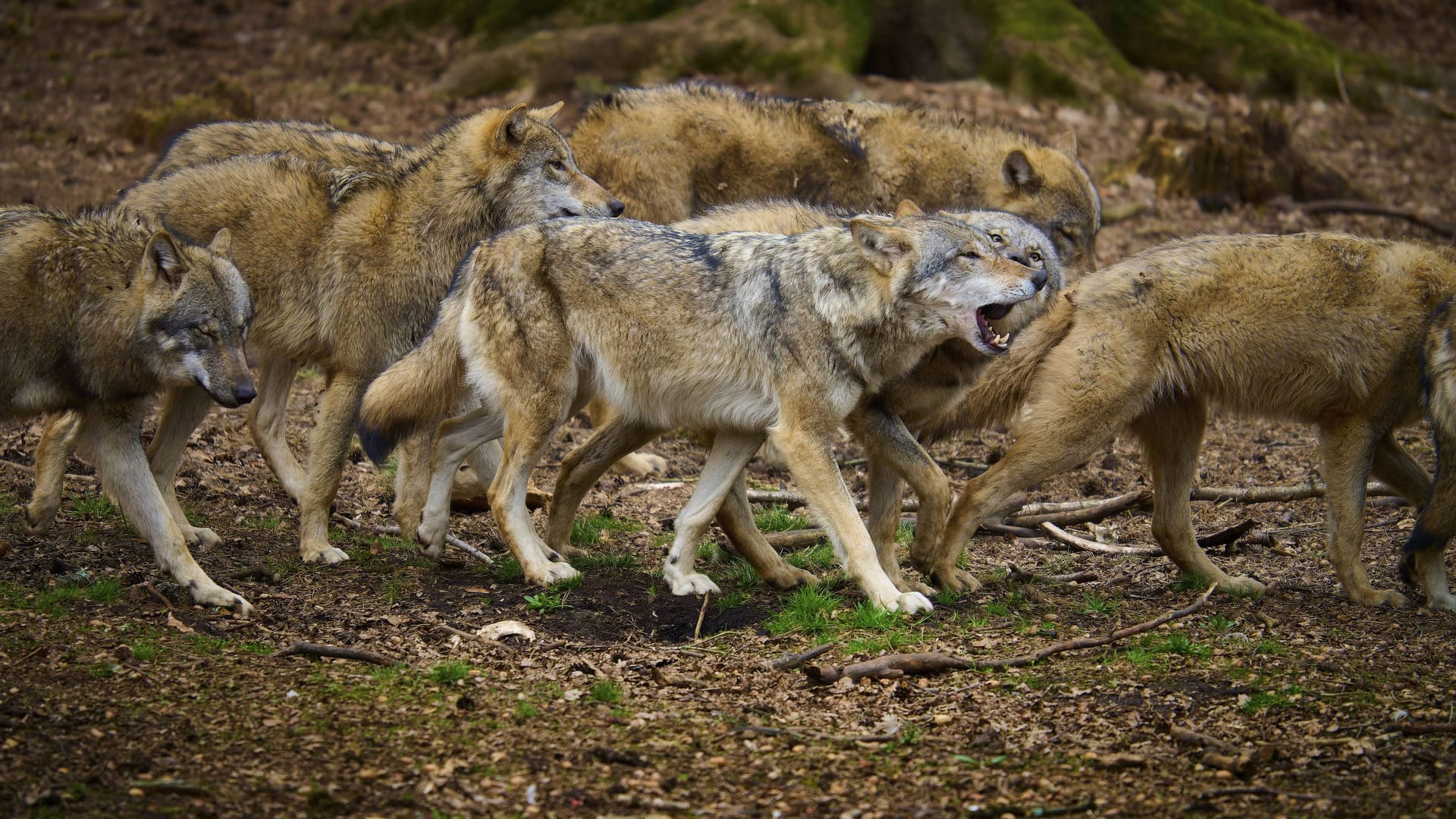 imago images 0813125786 imago images 0813125786