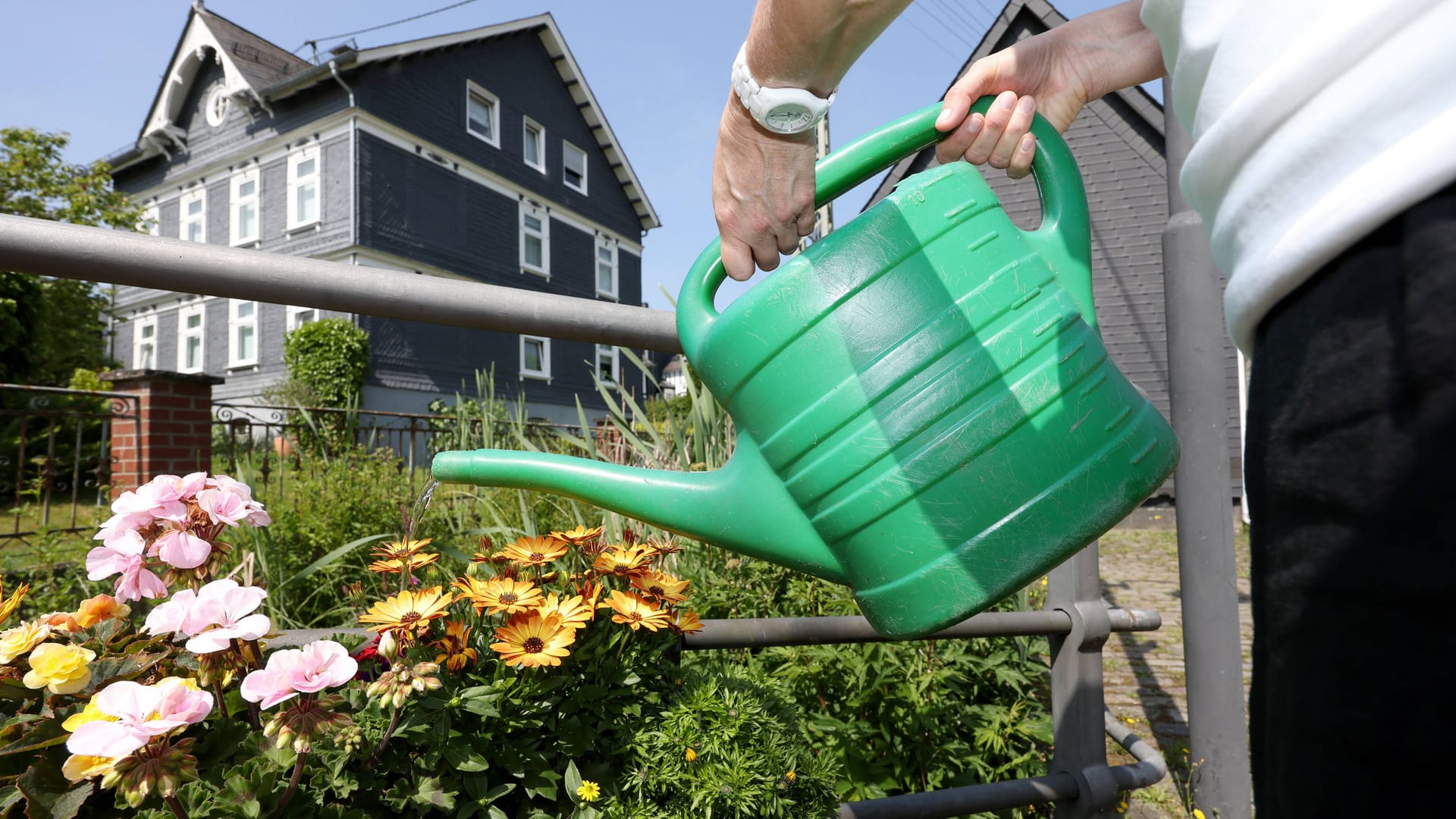 Eine Frau gießt ihre Blumen (Symbolbild): Ein Diebstahl von 40 Litern Regenwasser hat die Polizei auf den Plan gerufen.