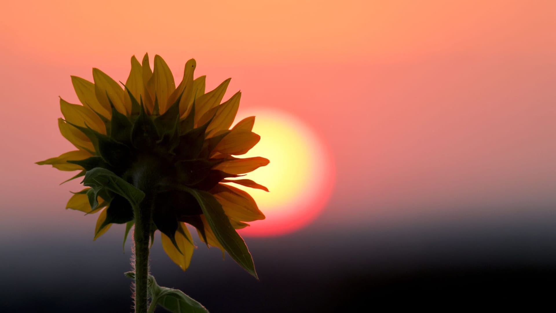 Wetter in Baden-Württemberg Wetter in Baden-Württemberg