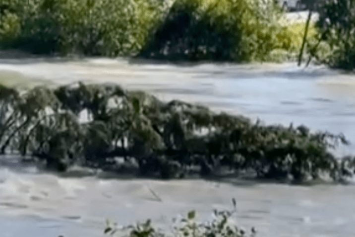 Rekordhochwasser in Alaska: Fluten reißen ganze Bäume mit.