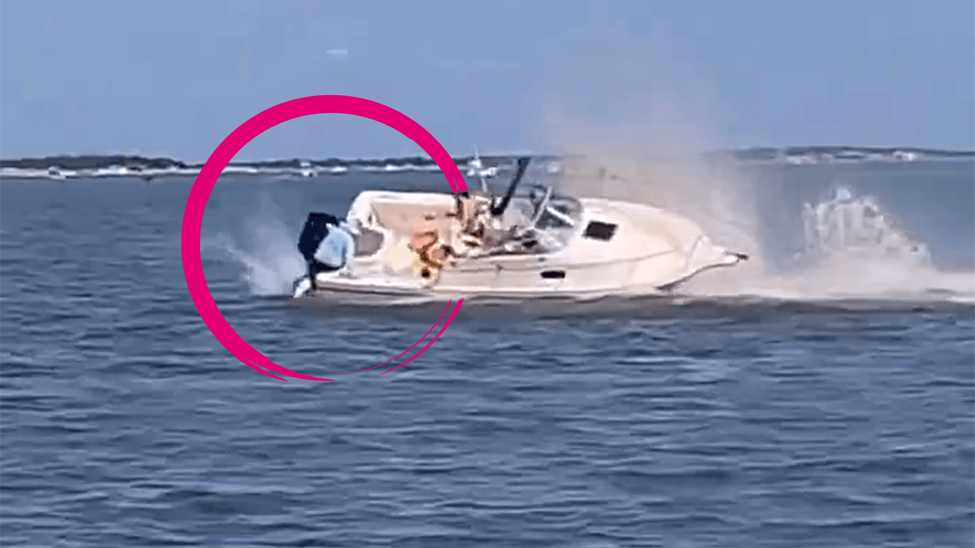 Barnegat Bay, New Jersey: Ein Wal kollidiert frontal mit einem Freizeitboot
