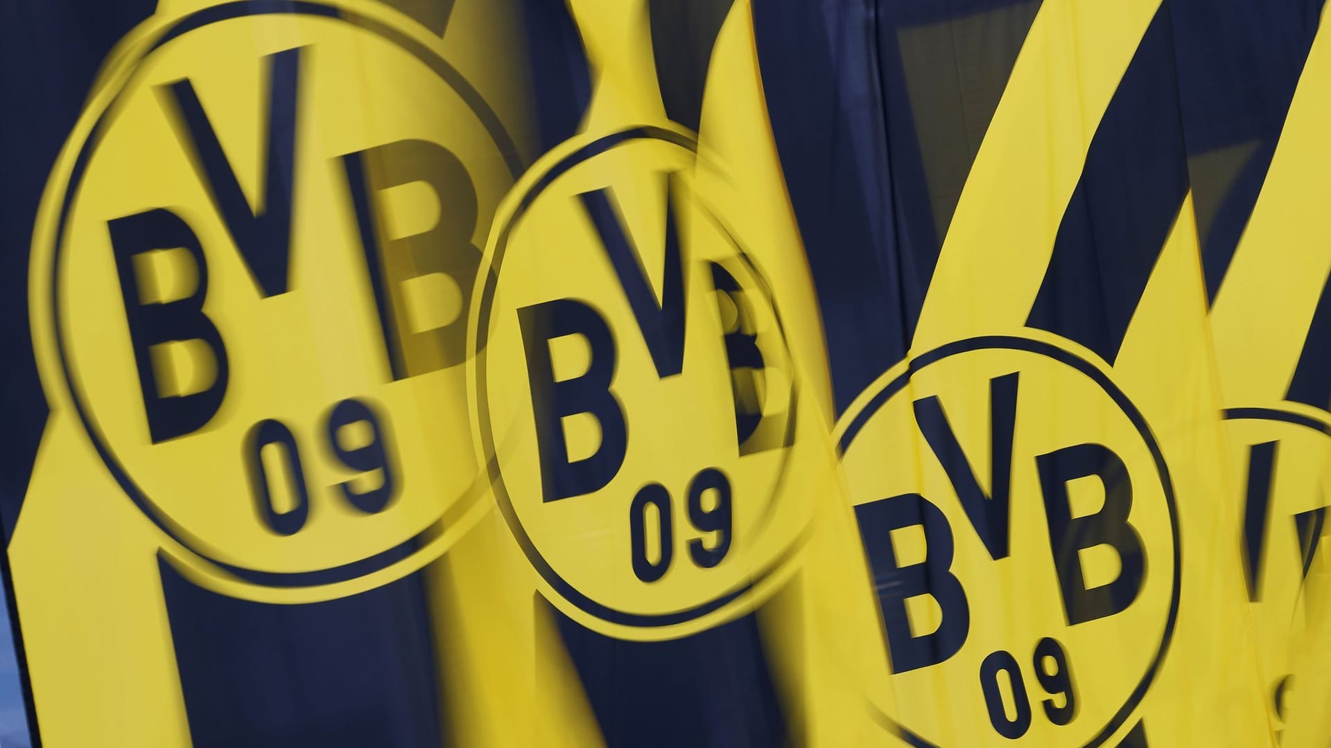 BVB geht juristisch gegen Wahlwerbung der AfD vor