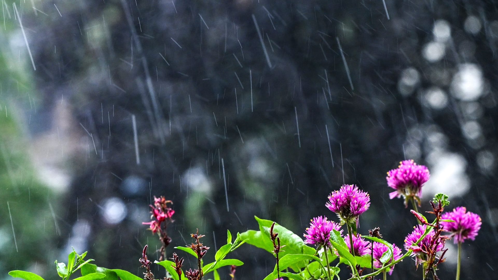 Regenwetter in Berlin