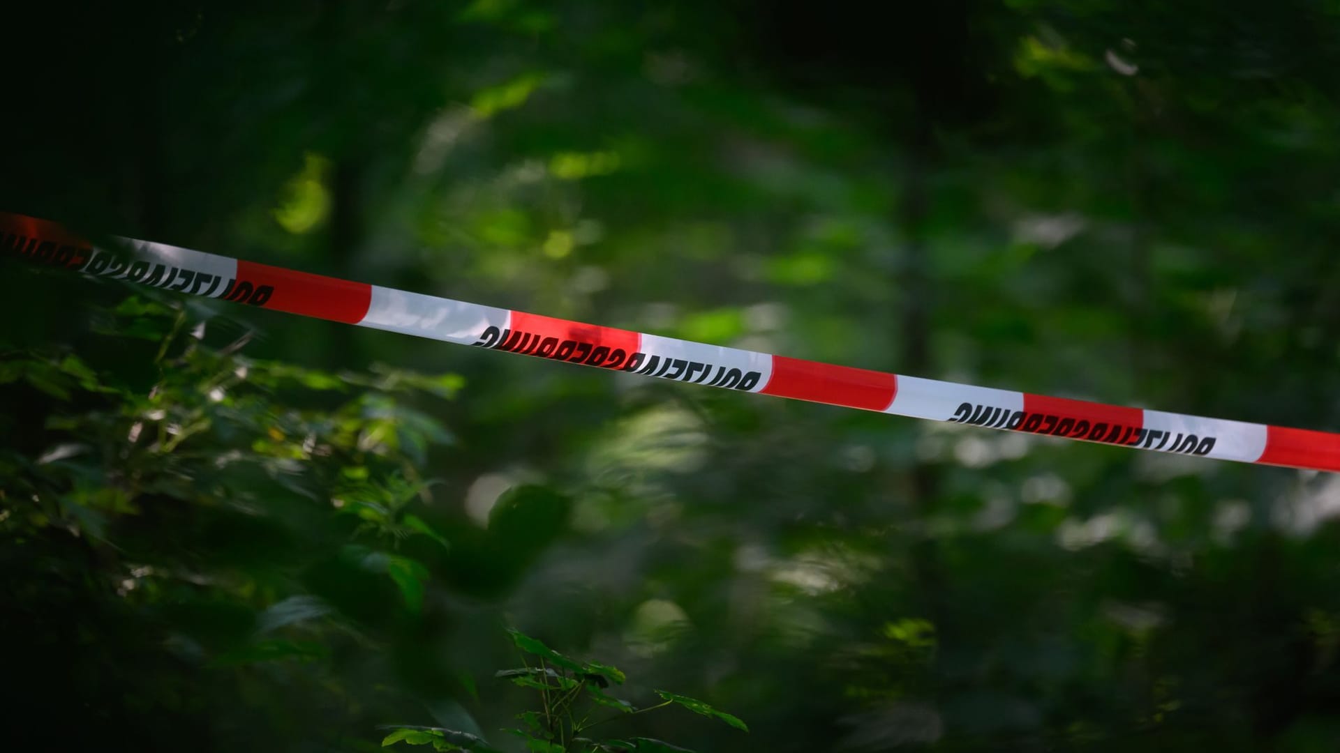 Absperrband der Polizei ist in einem Wald (Symbolbild): Es wird wegen eines Tötungsdelikts ermittelt.