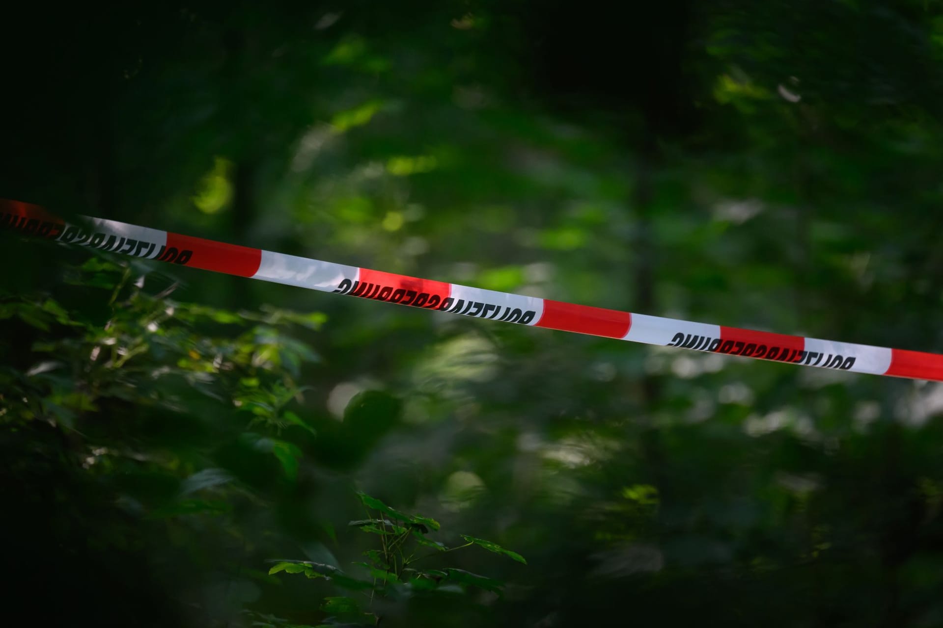 Absperrband der Polizei ist in einem Wald (Symbolbild): Es wird wegen eines Tötungsdelikts ermittelt.