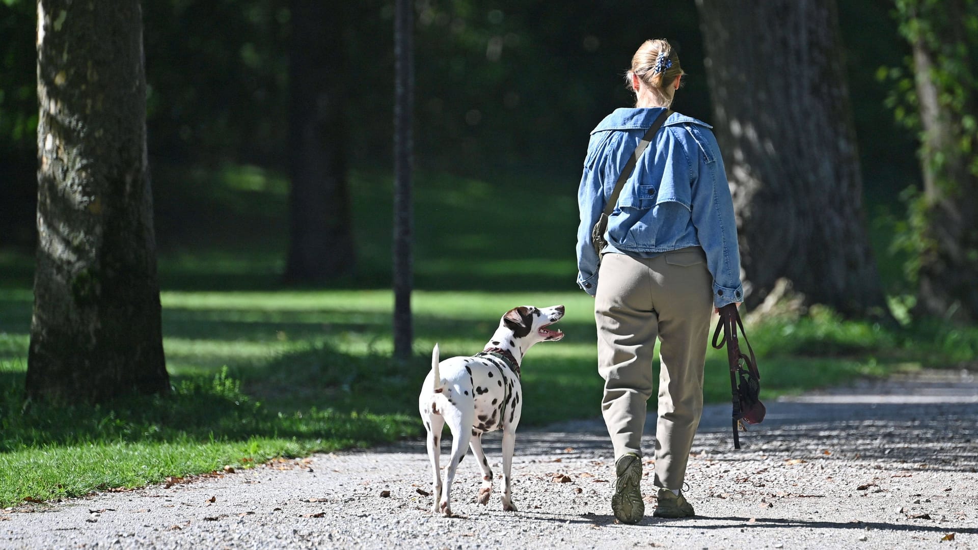 imago images 0832370506 imago images 0832370506