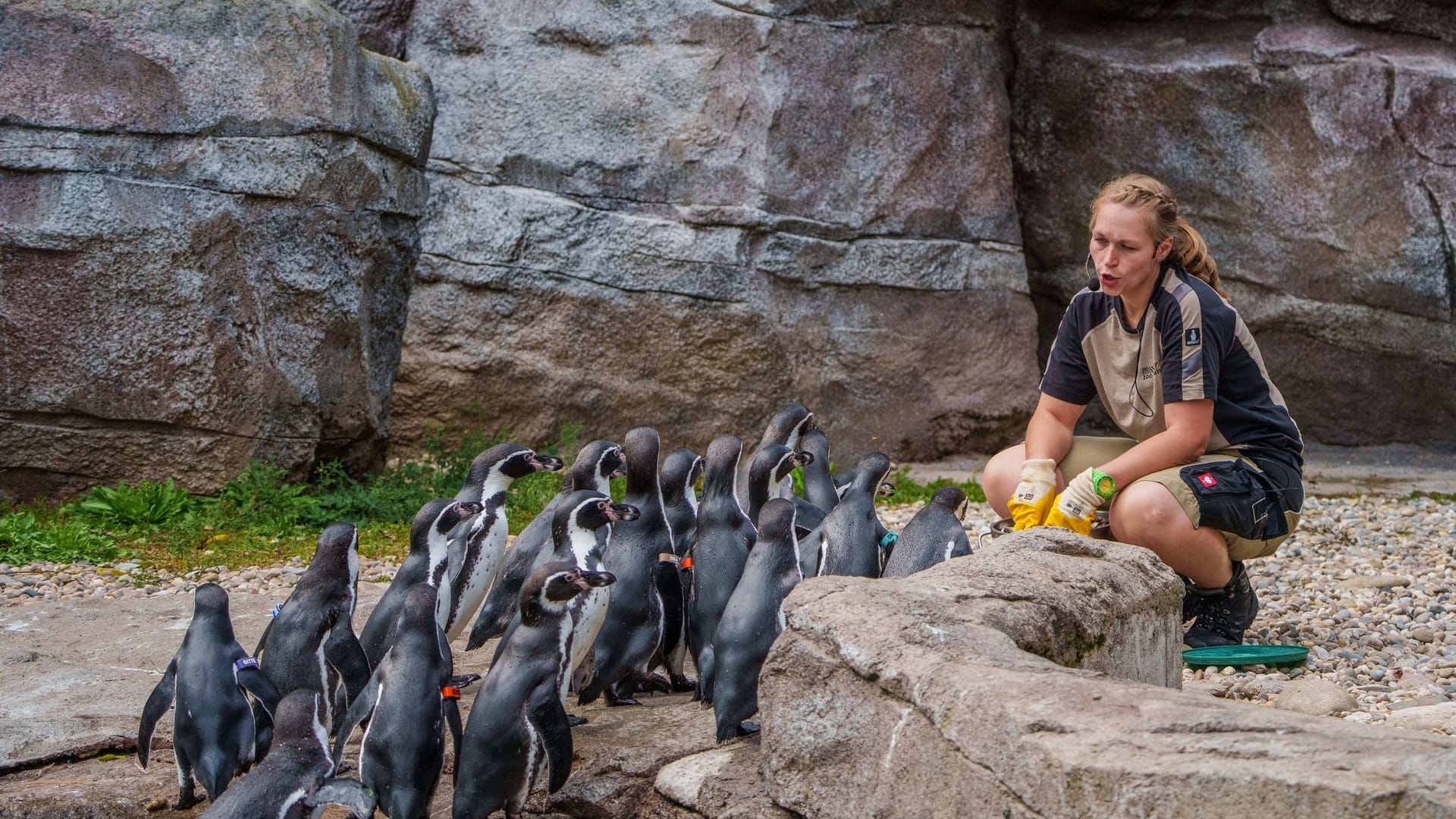 „Zootag“ im Zoo Frankfurt