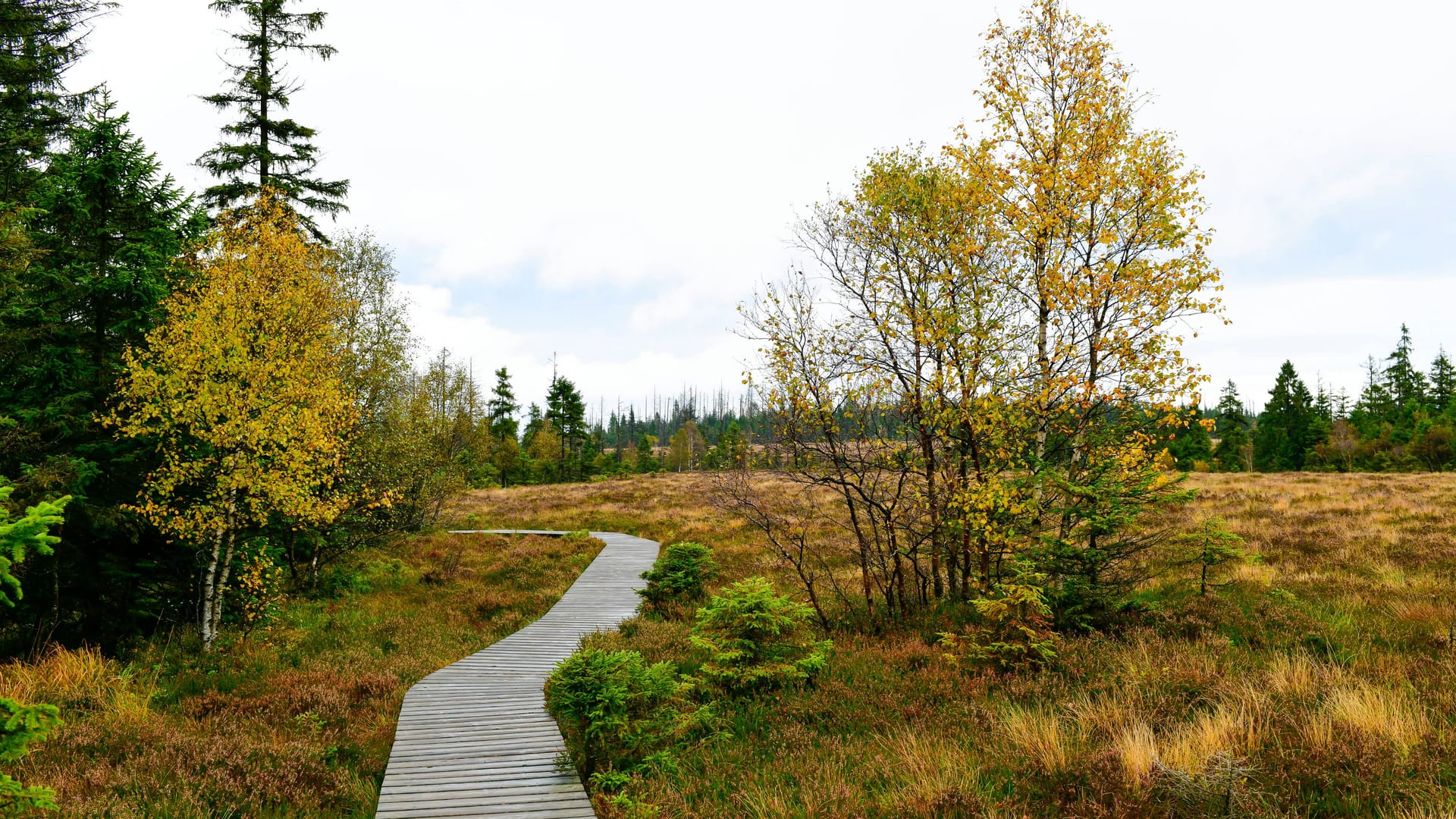 imago images 0788927565 imago images 0788927565