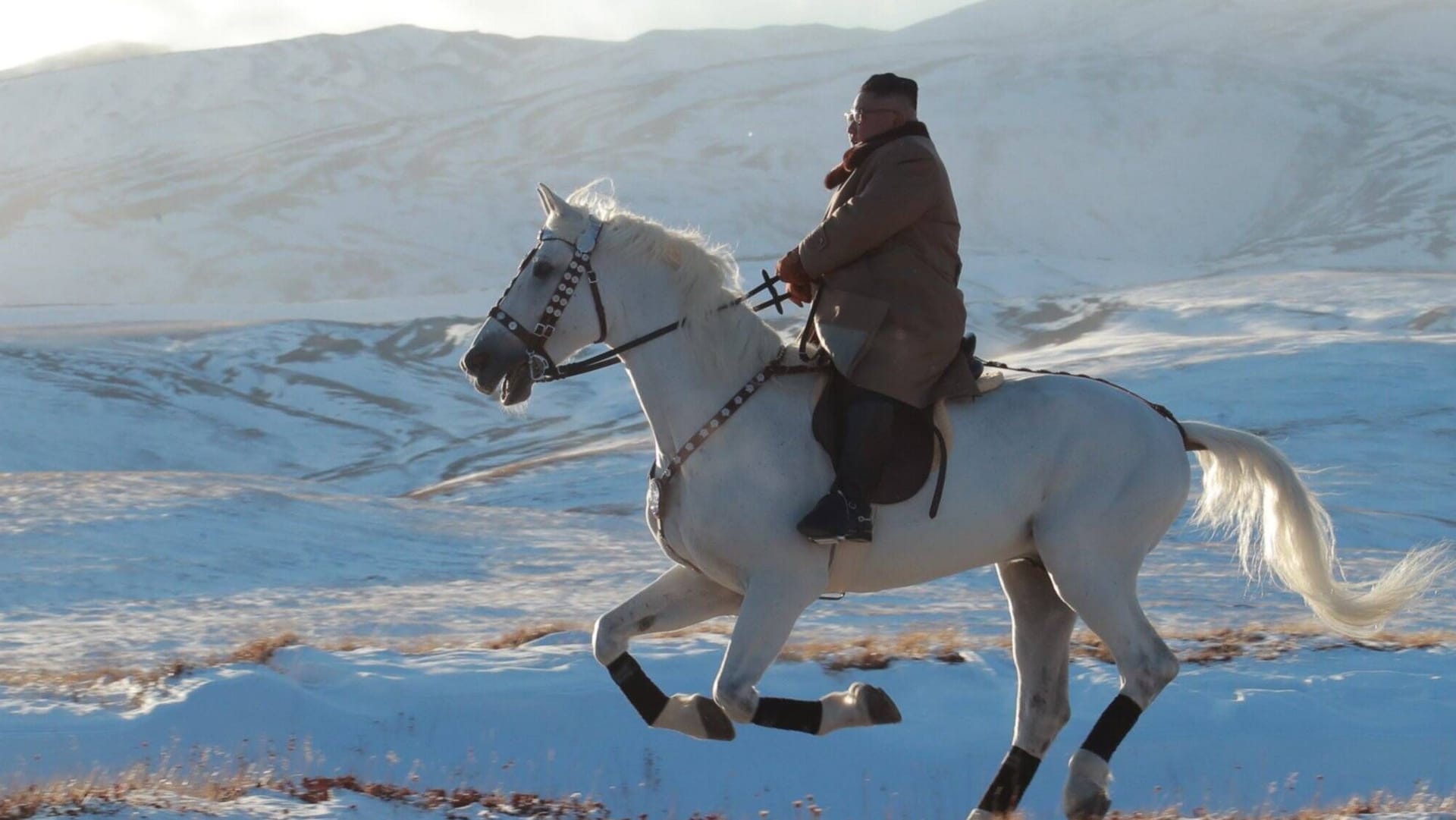 Kim Jong Un: Nordkoreas Diktator ist ein überaus gefährlicher Mann, warnt Historiker Guido Knopp. Kim Jong Un: Nordkoreas Diktator ist ein überaus gefährlicher Mann, warnt Historiker Guido Knopp.