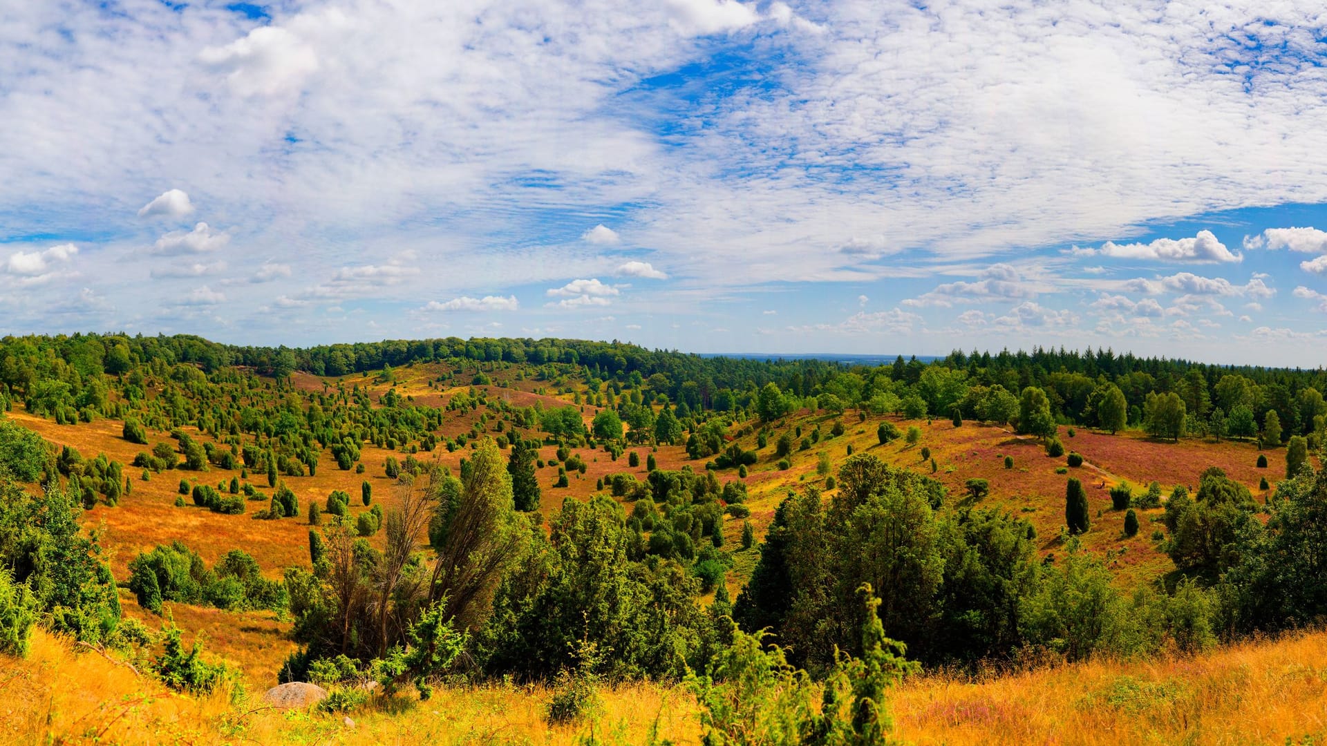 imago images 0822170884 imago images 0822170884