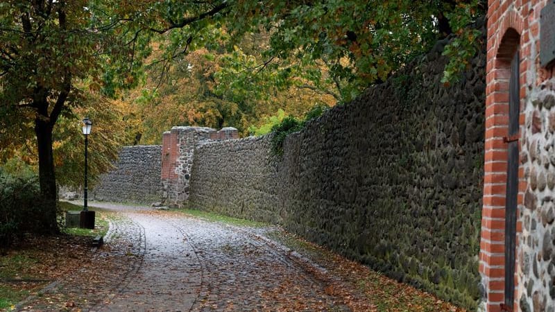 urn:newsml:dpa.com:20090101:250922-935-846735