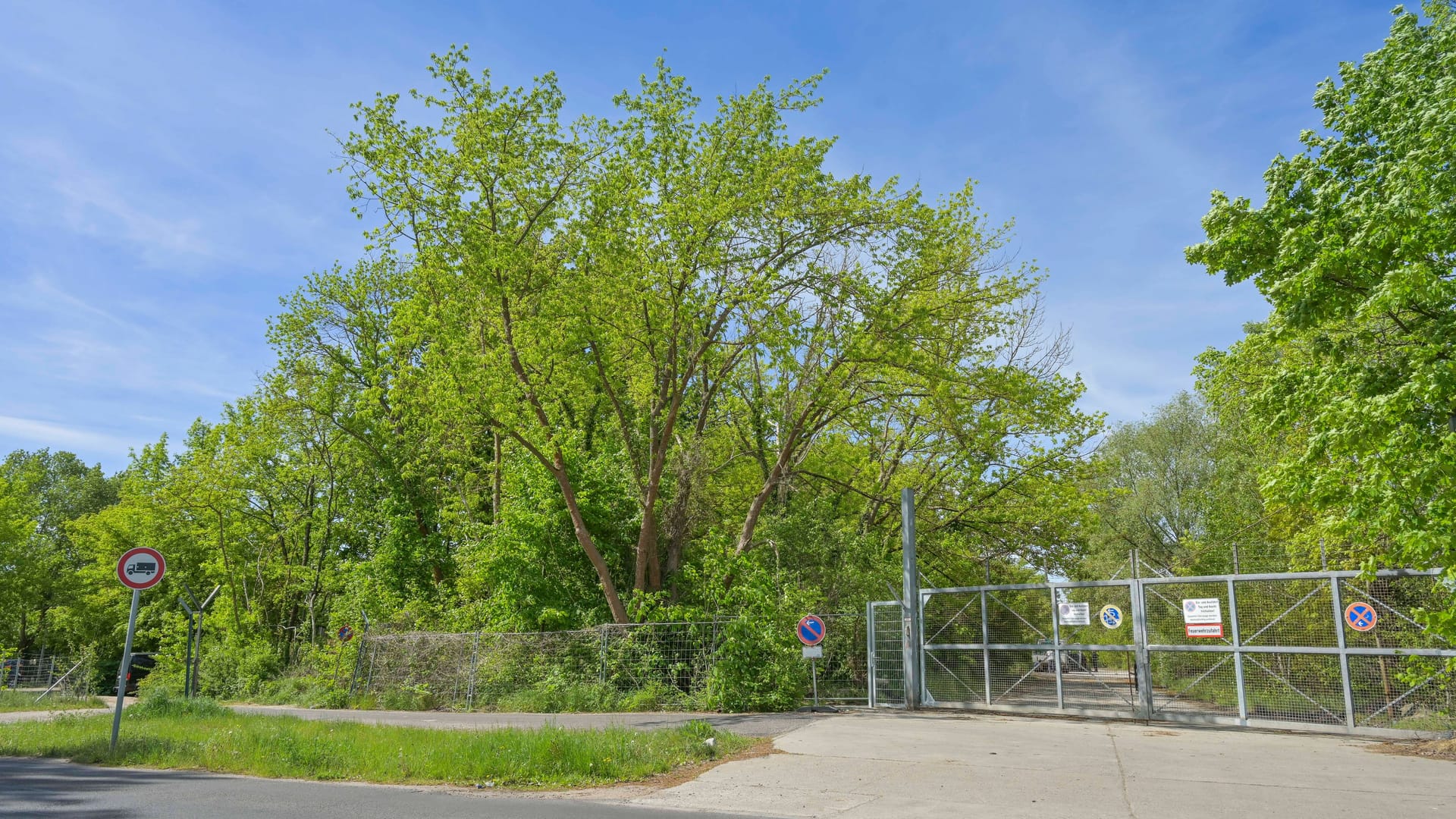 imago images 0822951053