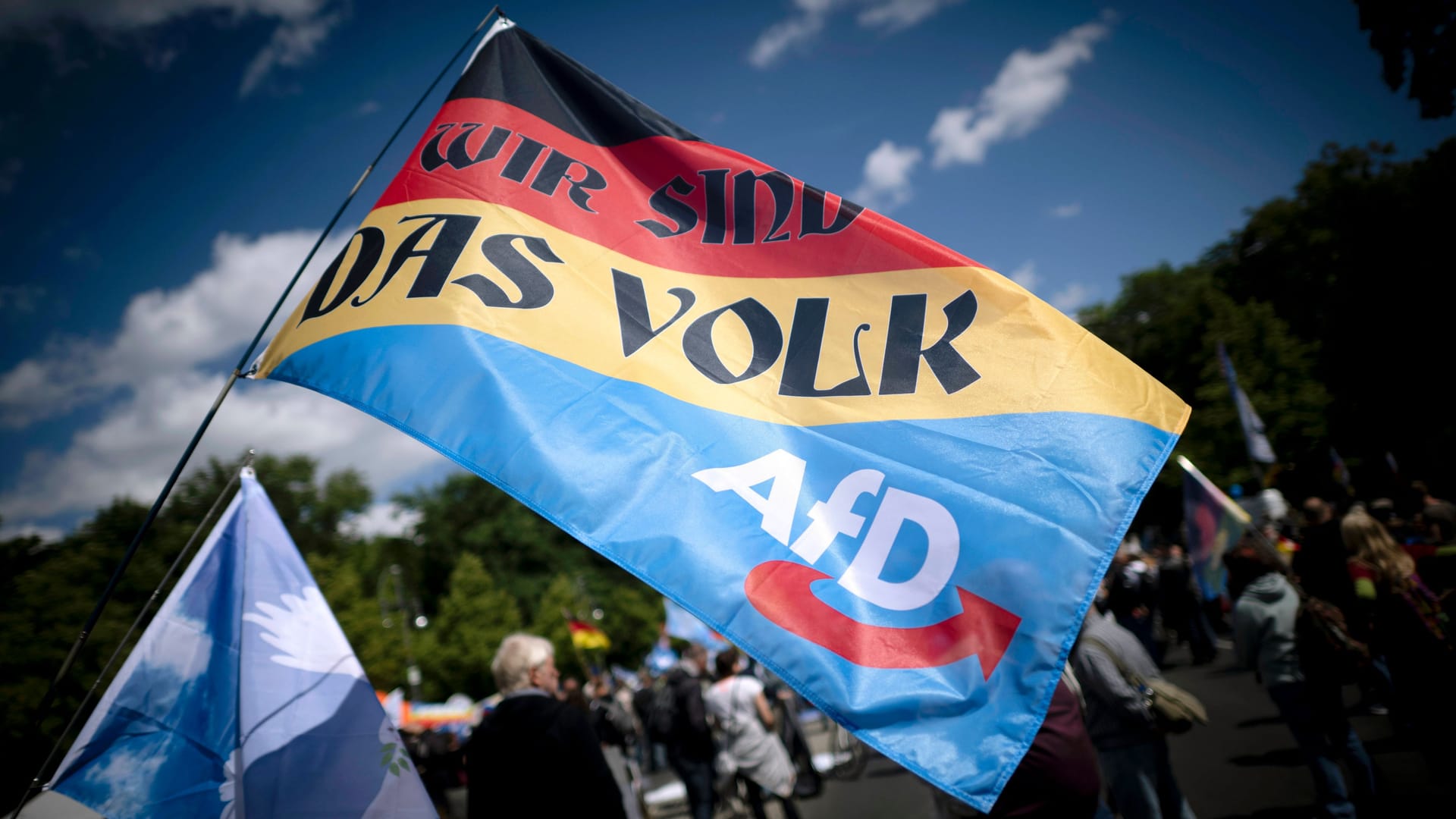 Demonstranten mit AfD-Fahne (Symbolbild): Die Wahl dieser Partei sei unmoralisch, sagt Autorin Anne Rabe. Demonstranten mit AfD-Fahne (Symbolbild): Die Wahl dieser Partei sei unmoralisch, sagt Autorin Anne Rabe.