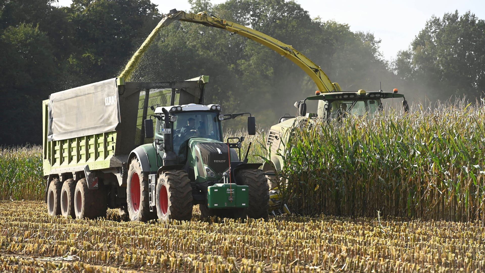 Ein Landwirt erntet mit einem Maishäcksler sein Feld ab (Symbolbild): Bei einem Unglück im Vogtlandkreis kam ein Mann ums Leben.