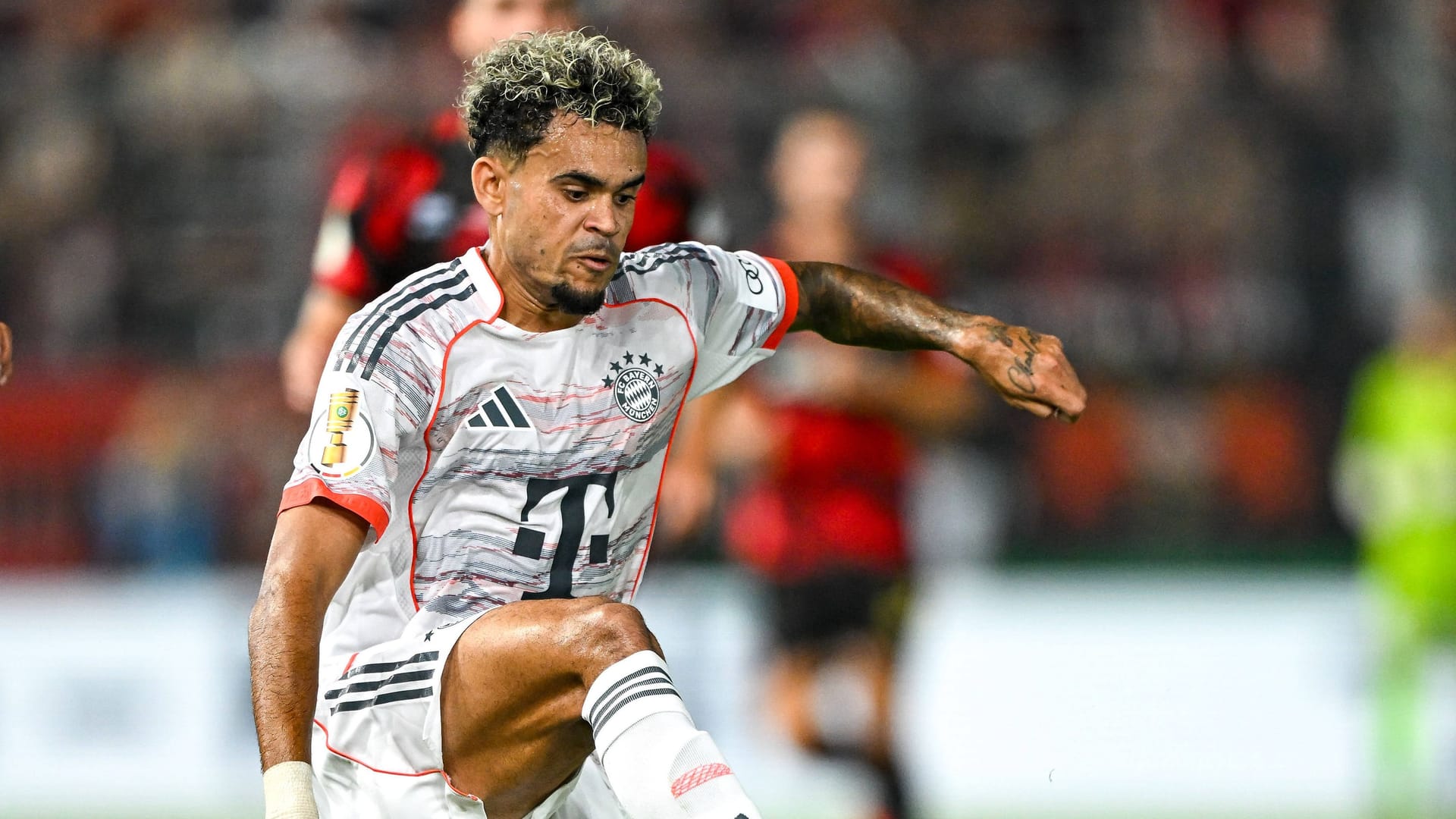 imago images 1065648077